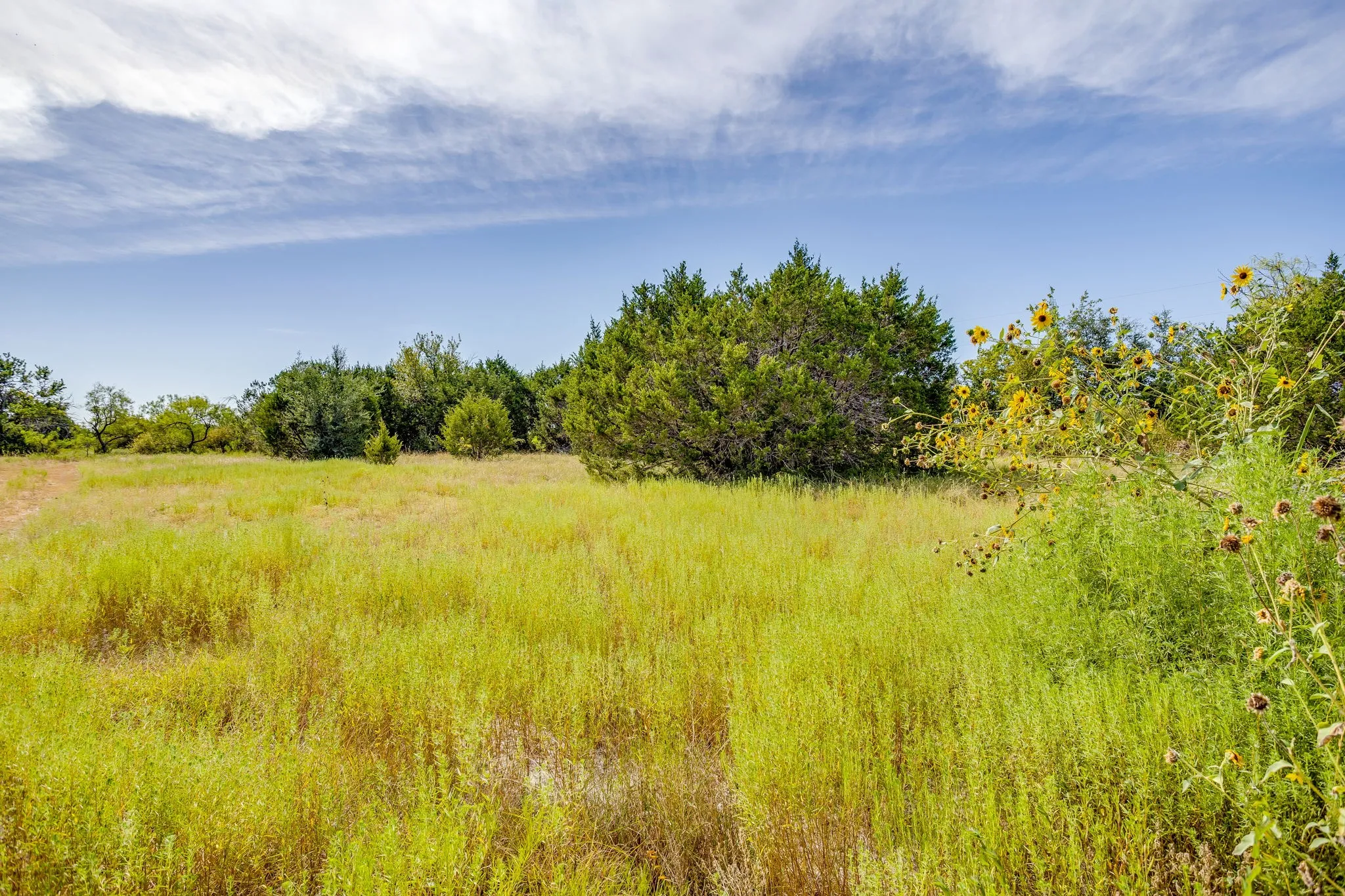 Farm For Sale in Hamilton County , 1274 County Road 110, Hamilton, Texas 76531, 2 Bedroom, 2 Bathroom, Garage spaces, 965 Sqft, built in 2026, mls#21384609, Real Estate Agent in Hamilton, Homes For Sale in Hamilton county, Homes For Sale in Hamilton, Realtor in Hamilton Texas, Real Estate Brokerage Independent Realty Texas, Luminita Cordes Realtor