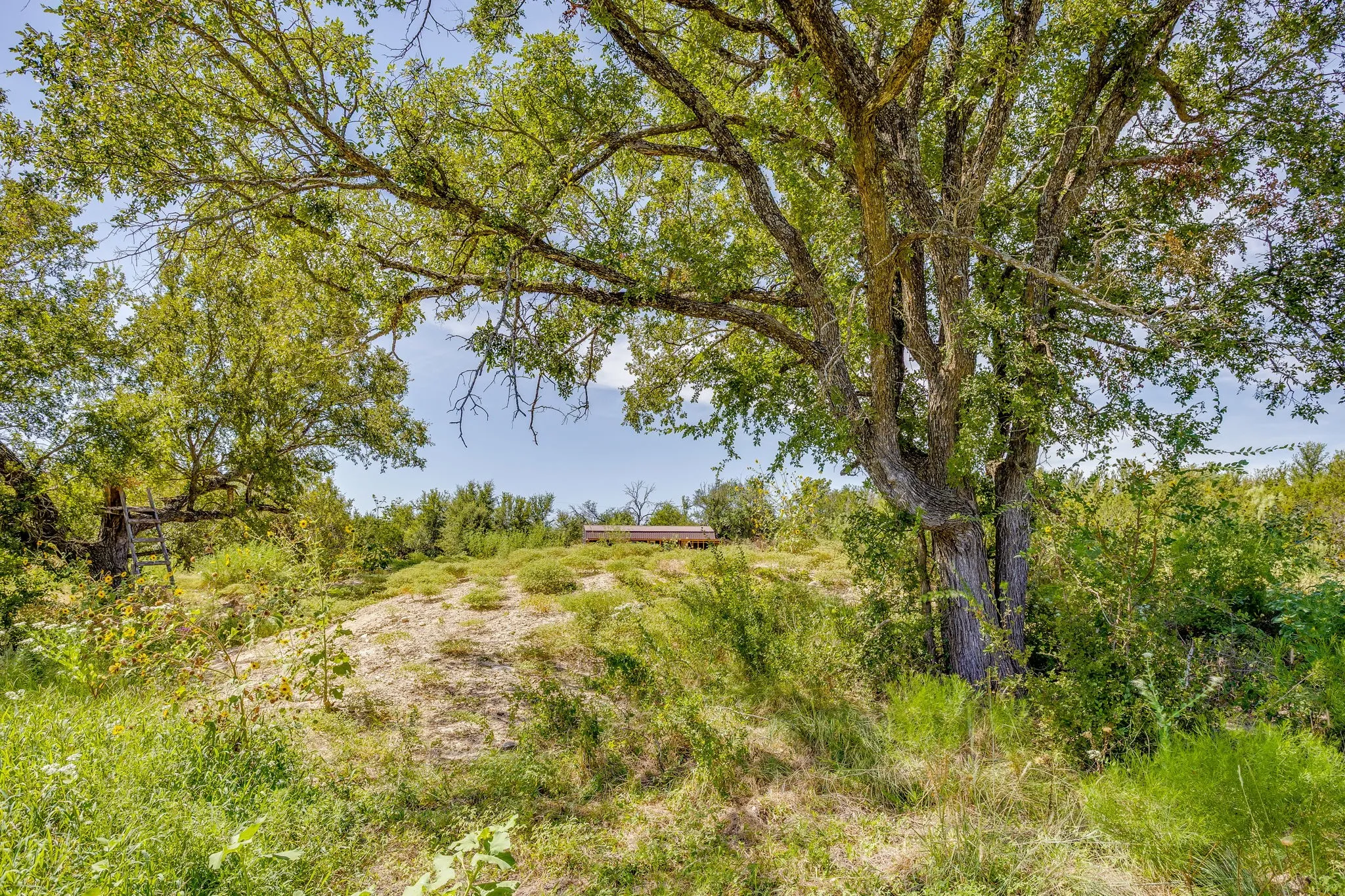 Farm For Sale in Hamilton County , 1274 County Road 110, Hamilton, Texas 76531, 2 Bedroom, 2 Bathroom, Garage spaces, 965 Sqft, built in 2026, mls#21384609, Real Estate Agent in Hamilton, Homes For Sale in Hamilton county, Homes For Sale in Hamilton, Realtor in Hamilton Texas, Real Estate Brokerage Independent Realty Texas, Luminita Cordes Realtor
