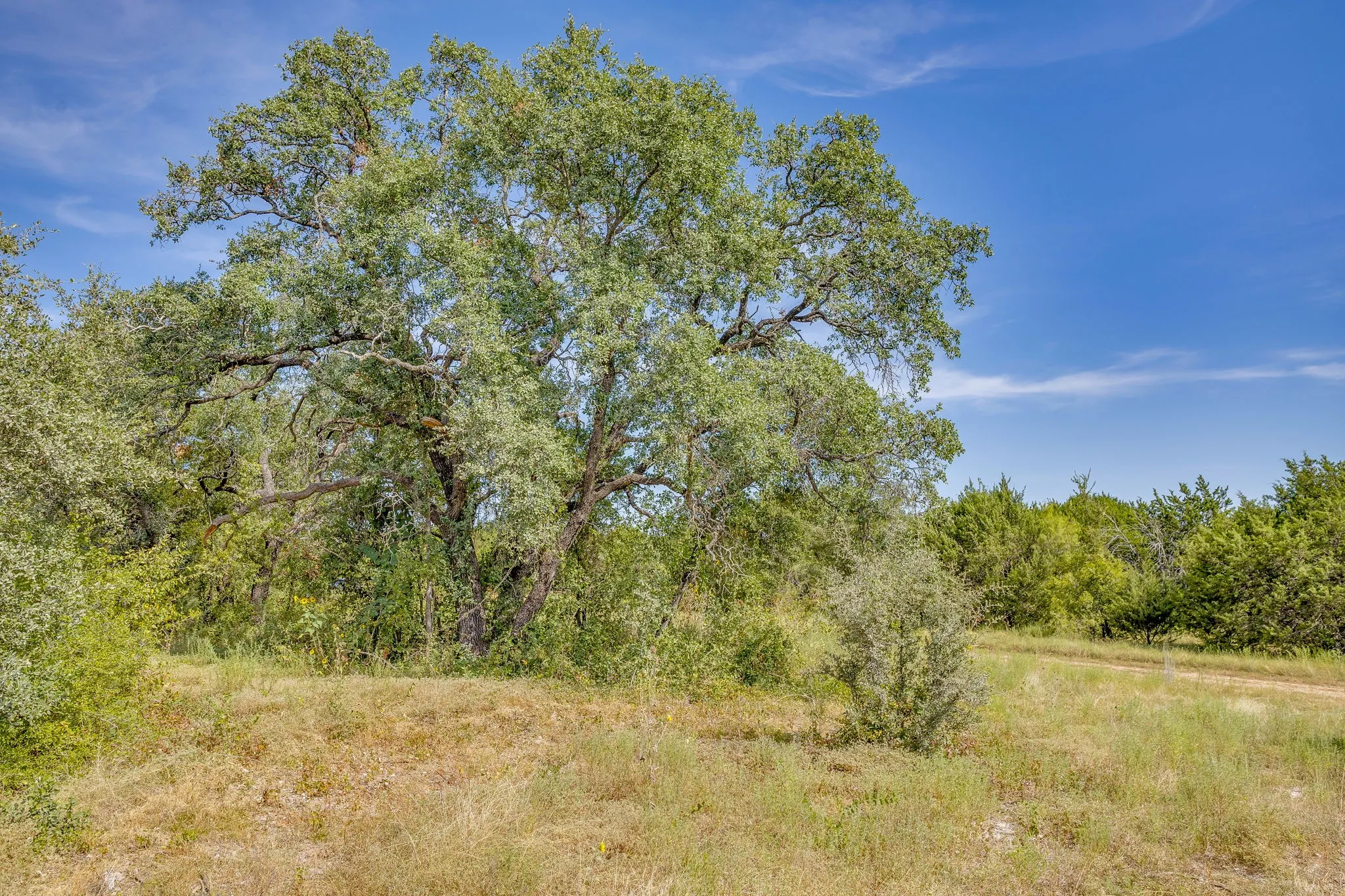 Farm For Sale in Hamilton County , 1274 County Road 110, Hamilton, Texas 76531, 2 Bedroom, 2 Bathroom, Garage spaces, 965 Sqft, built in 2026, mls#21384609, Real Estate Agent in Hamilton, Homes For Sale in Hamilton county, Homes For Sale in Hamilton, Realtor in Hamilton Texas, Real Estate Brokerage Independent Realty Texas, Luminita Cordes Realtor