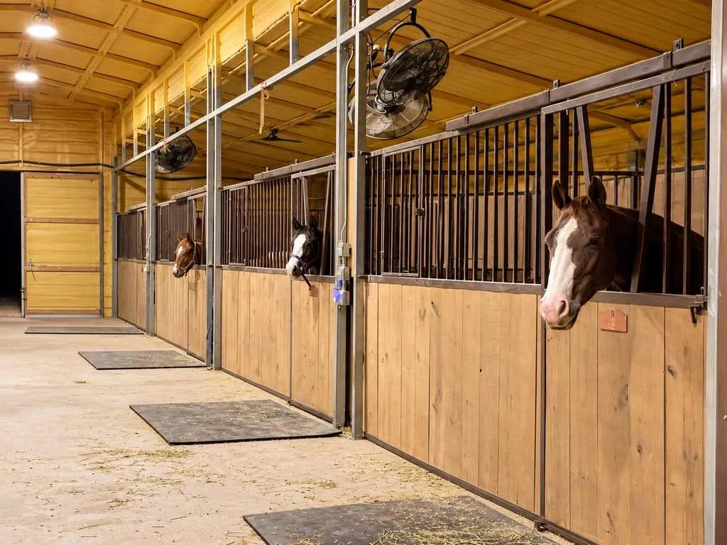 Barn interior with five stall-size bays and space for horses or other livestock.