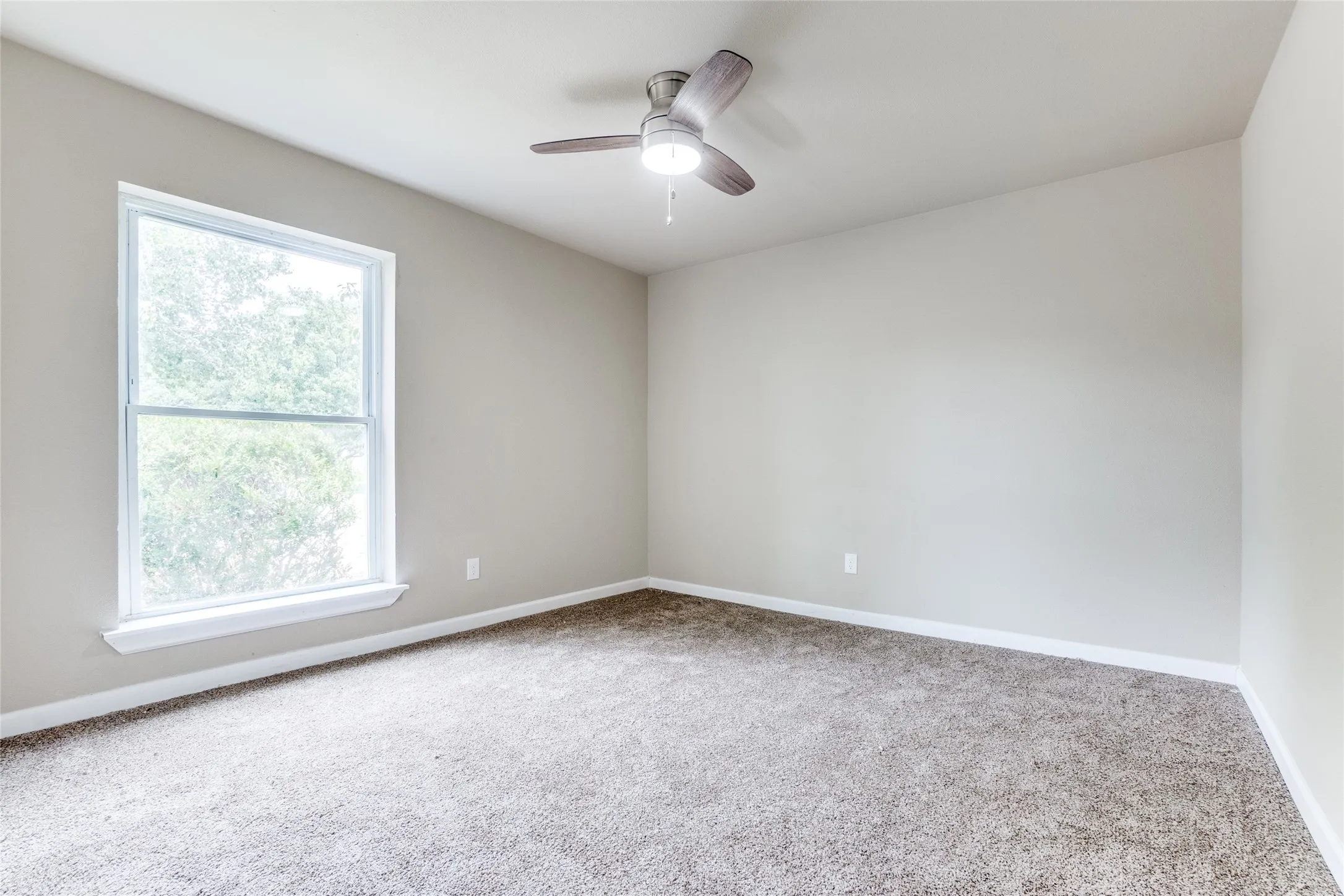 Neutral tone wall paint, light gray carpeting, ceiling fan with integrated lighting, and a double-hung window