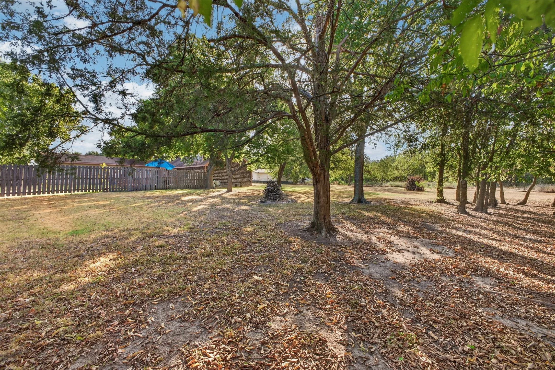 Expansive backyard featuring mature trees, a wood privacy fence, and natural ground cover