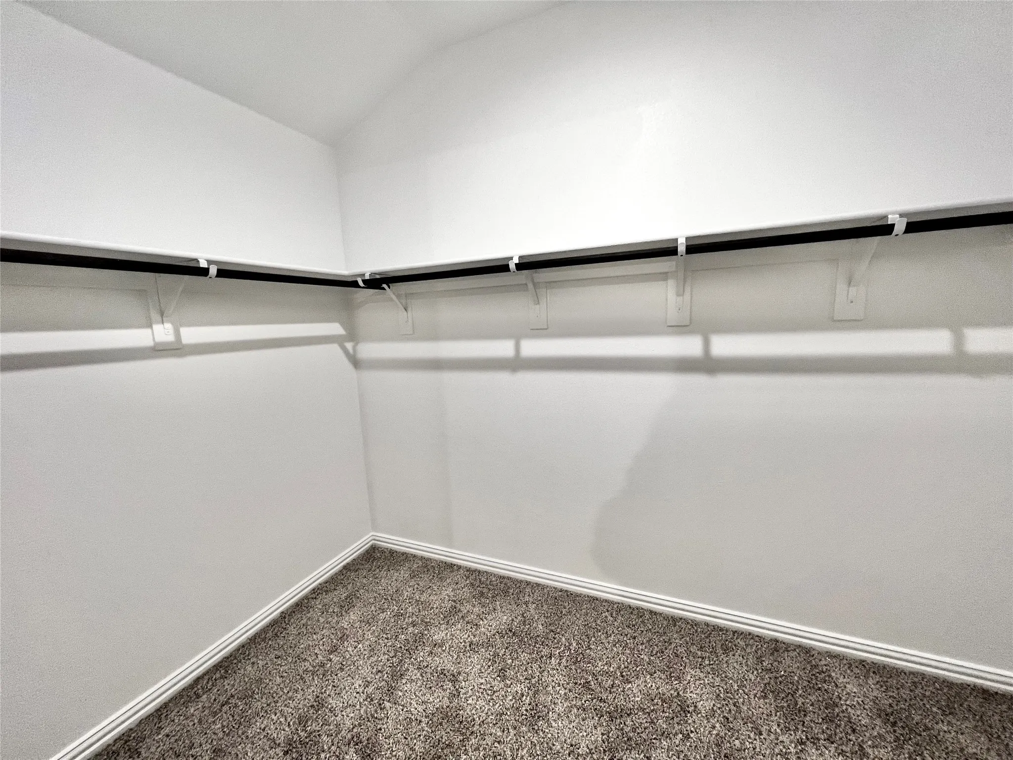 Wall-mounted shelving with integrated hanging rods, white painted walls, and textured carpet flooring