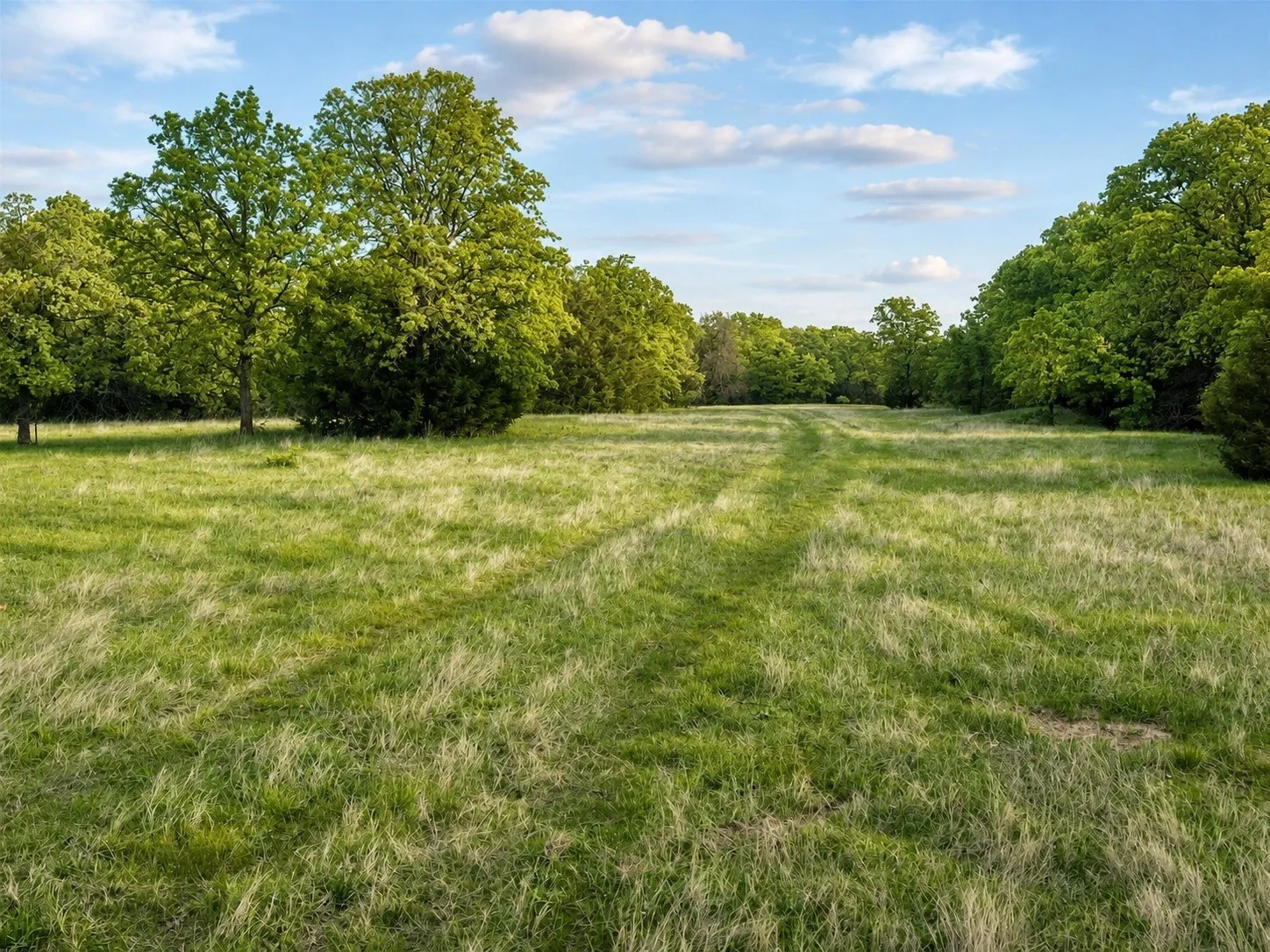 Unimproved Land For Sale in Montague County , Lot 10 Pleasant Hill Road, Sunset, Texas 76270, 0, 0, Garage spaces, 0 Sqft, built in 0, mls#21372279, Real Estate Agent in Sunset, Homes For Sale in Montague county, Homes For Sale in Sunset, Realtor in Sunset Texas, Real Estate Brokerage Independent Realty Texas, Luminita Cordes Realtor