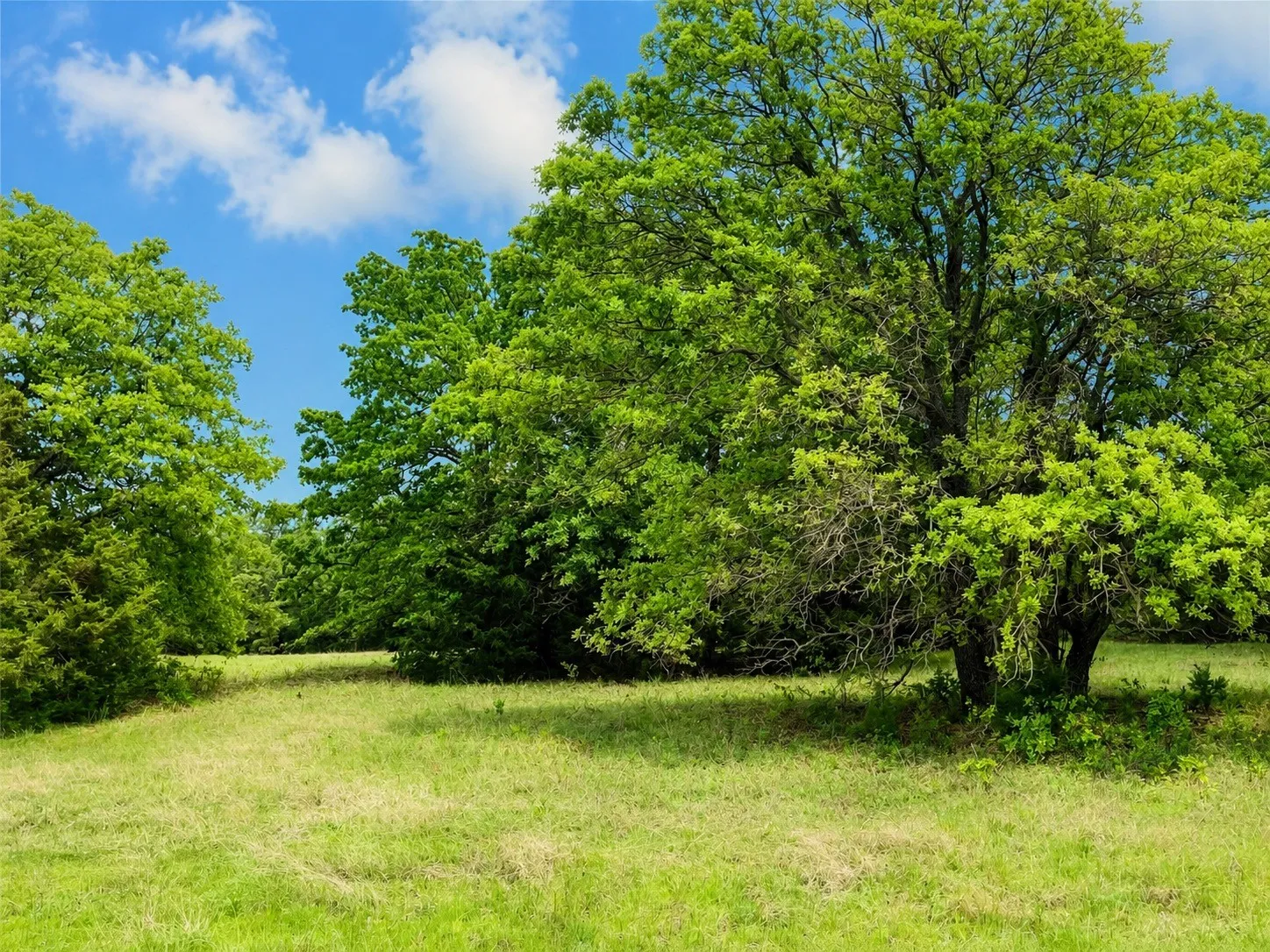 Unimproved Land For Sale in Montague County , Lot 10 Pleasant Hill Road, Sunset, Texas 76270, 0, 0, Garage spaces, 0 Sqft, built in 0, mls#21372279, Real Estate Agent in Sunset, Homes For Sale in Montague county, Homes For Sale in Sunset, Realtor in Sunset Texas, Real Estate Brokerage Independent Realty Texas, Luminita Cordes Realtor