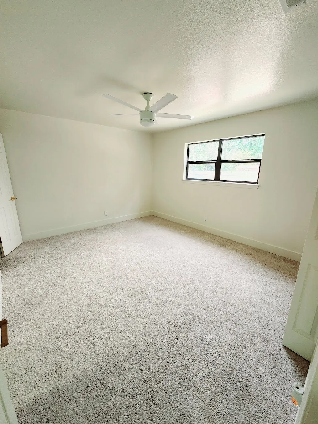 Plush neutral carpeting, a modern ceiling fan, and a single window with dark framing
