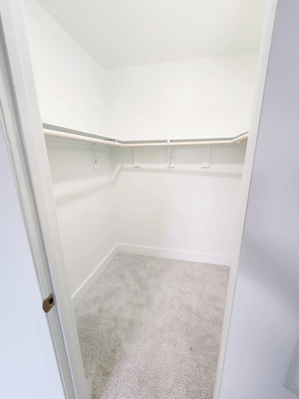 Spacious closet with light-colored carpeting and built-in shelving