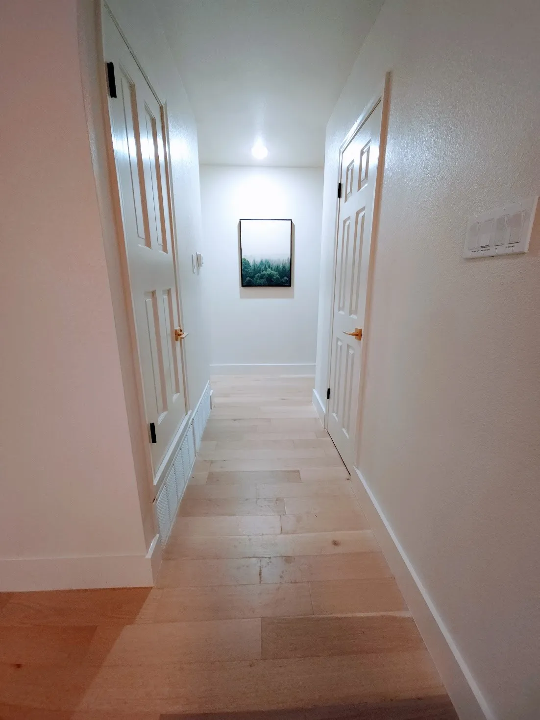 Recessed ceiling lighting illuminates the hallway with wood-finish flooring