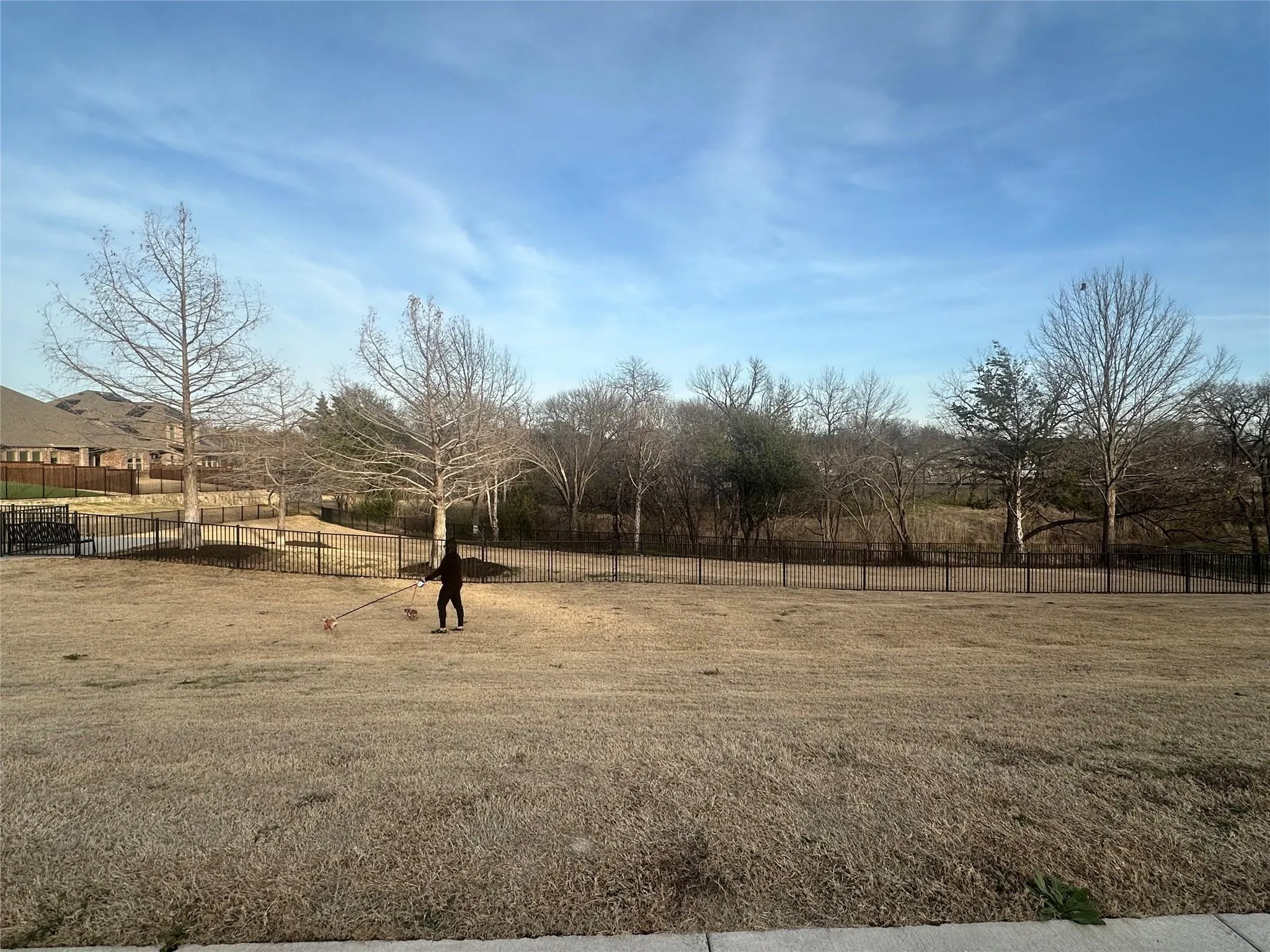 Dog Park
