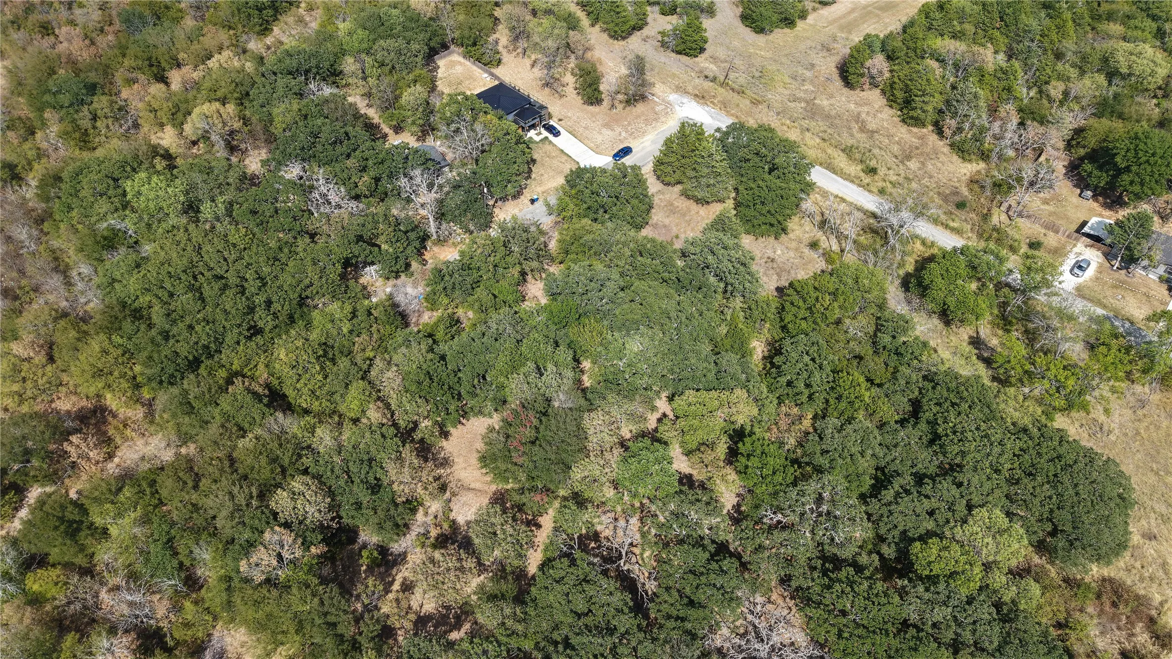 Wooded acreage with natural terrain, extensive tree canopy, and established roadways