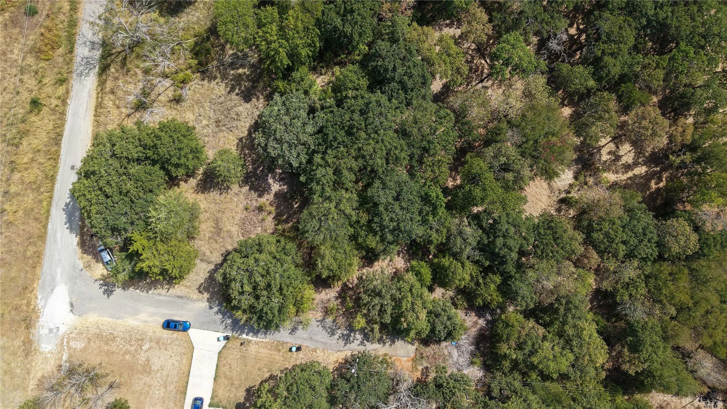Expansive parcel featuring a paved driveway, mature trees, and natural terrain