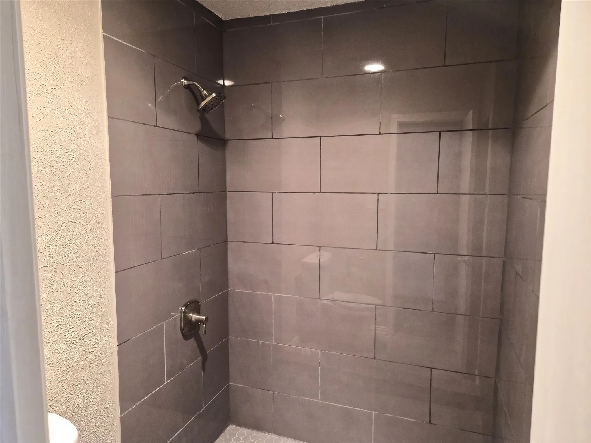 Primary Shower