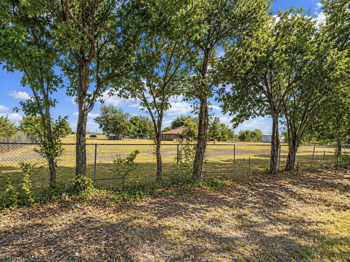 Chain link fencing bordering a grassy area with mature trees