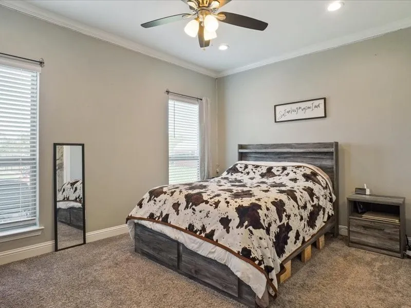 Neutral wall paint, ceiling fan with integrated lighting, recessed lighting, crown molding, and two windows with blinds