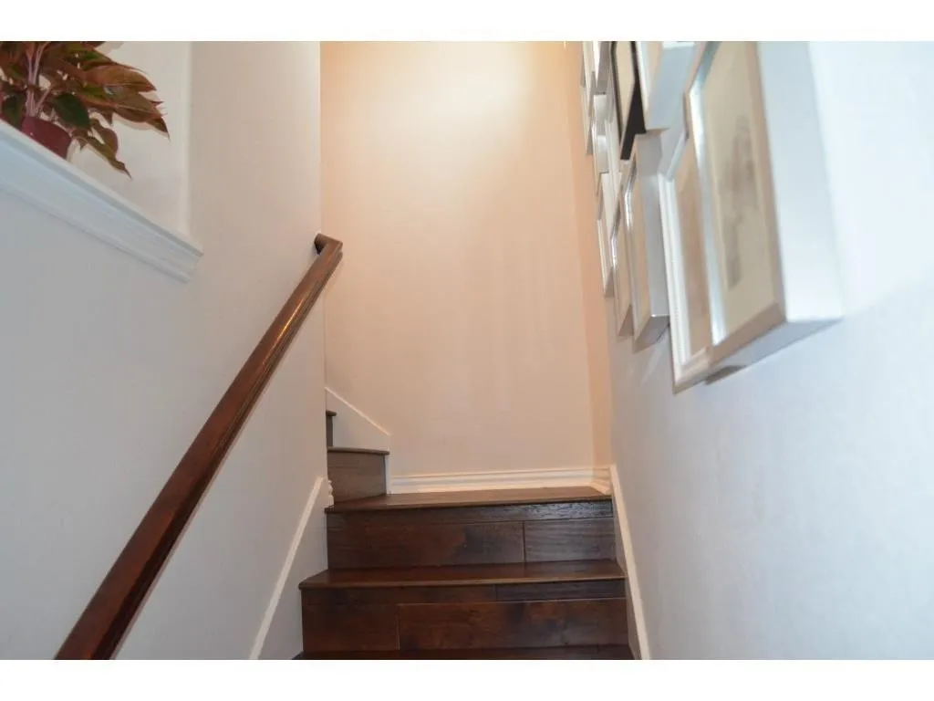 Single Family Residence For Rent in Collin County , 3532 Pillar Drive, Plano, Texas 75025, 3 Bedroom, 3 Bathroom, 2 Garage spaces, 2,104 Sqft, built in 2012, mls#21384973, Real Estate Agent in Plano, Homes For Rent in Collin county, Homes For Rent in Plano, Realtor in Plano Texas, Real Estate Brokerage Independent Realty Texas, Luminita Cordes Realtor