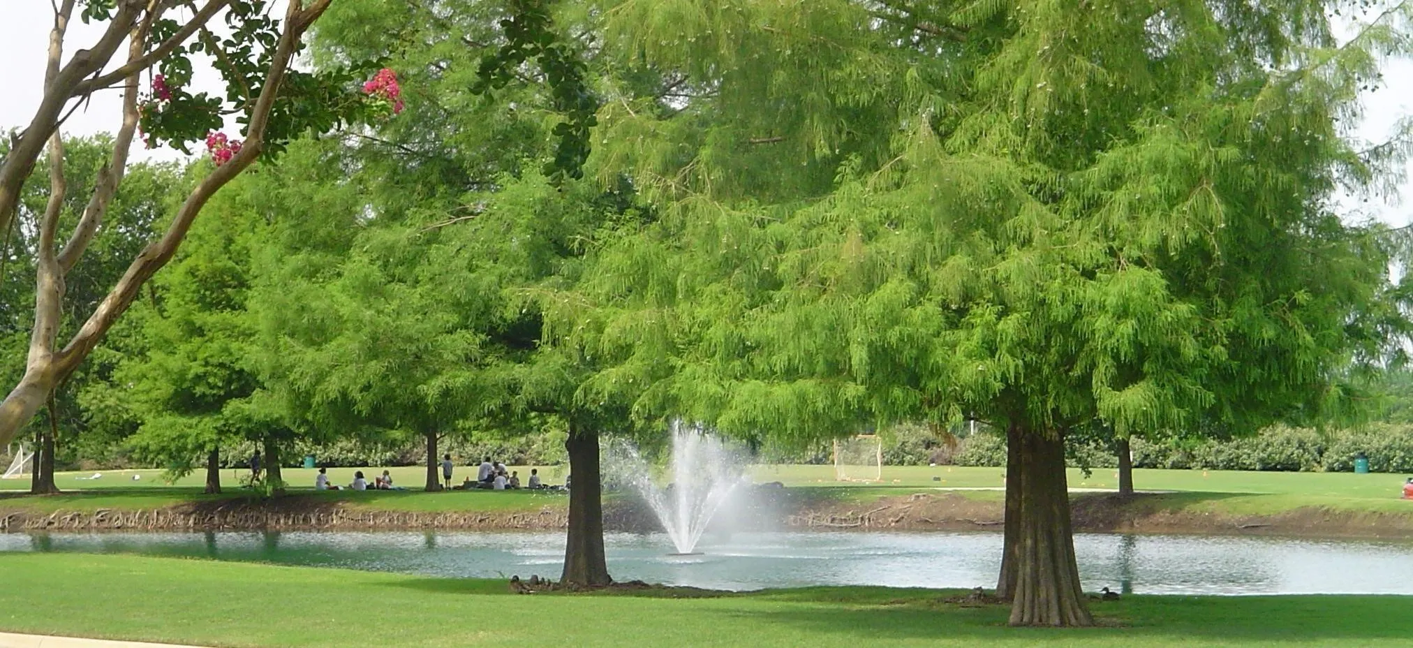 Lush green landscaping with mature trees, a tranquil pond, and a water feature