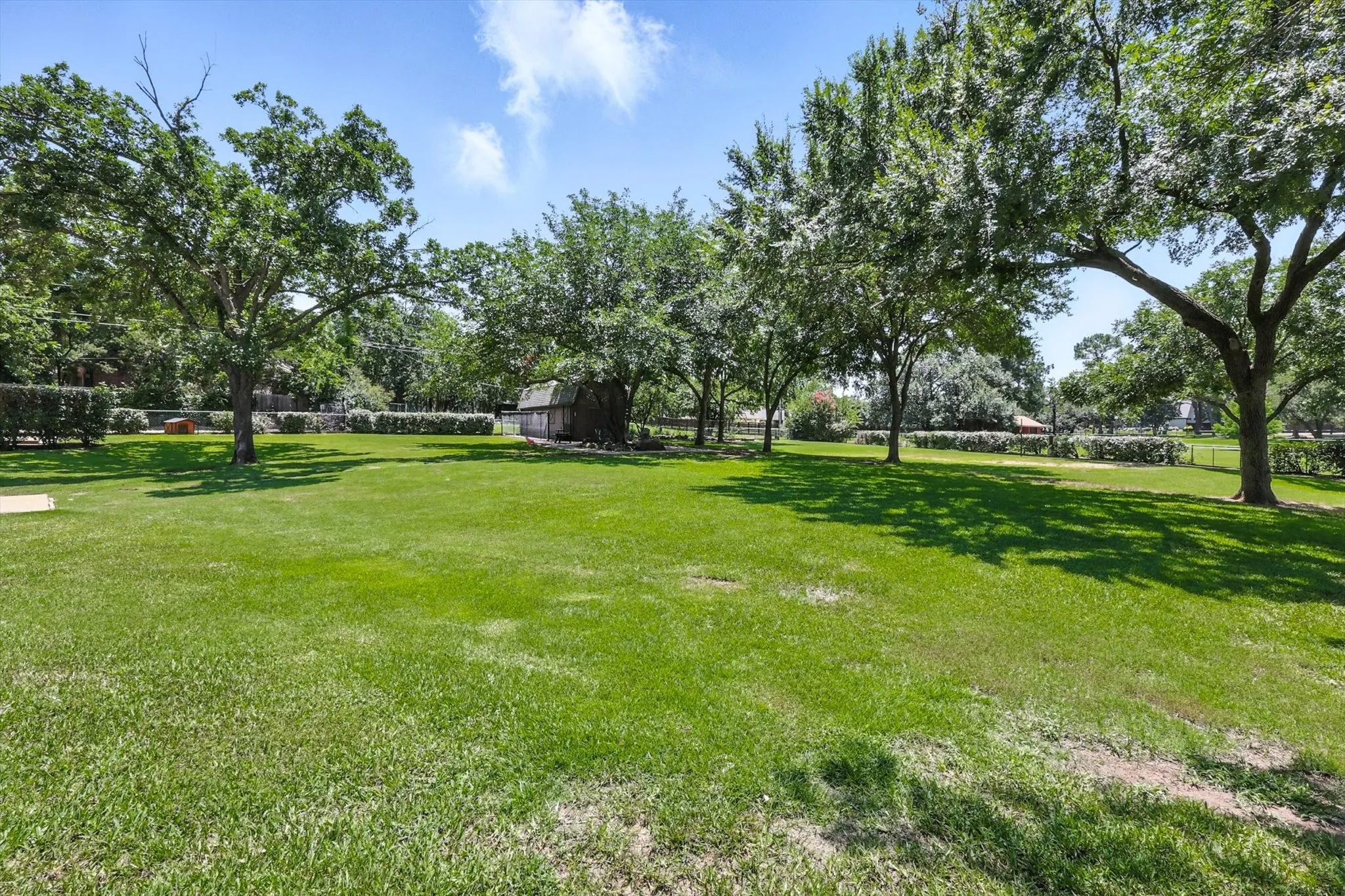 Single Family Residence For Rent in Denton County , 3201 Carmel Street, Denton, Texas 76205, 5 Bedroom, 4 Bathroom, 2 Garage spaces, 3,645 Sqft, built in 1968, mls#21384992, Real Estate Agent in Denton, Homes For Rent in Denton county, Homes For Rent in Denton, Realtor in Denton Texas, Real Estate Brokerage Independent Realty Texas, Luminita Cordes Realtor