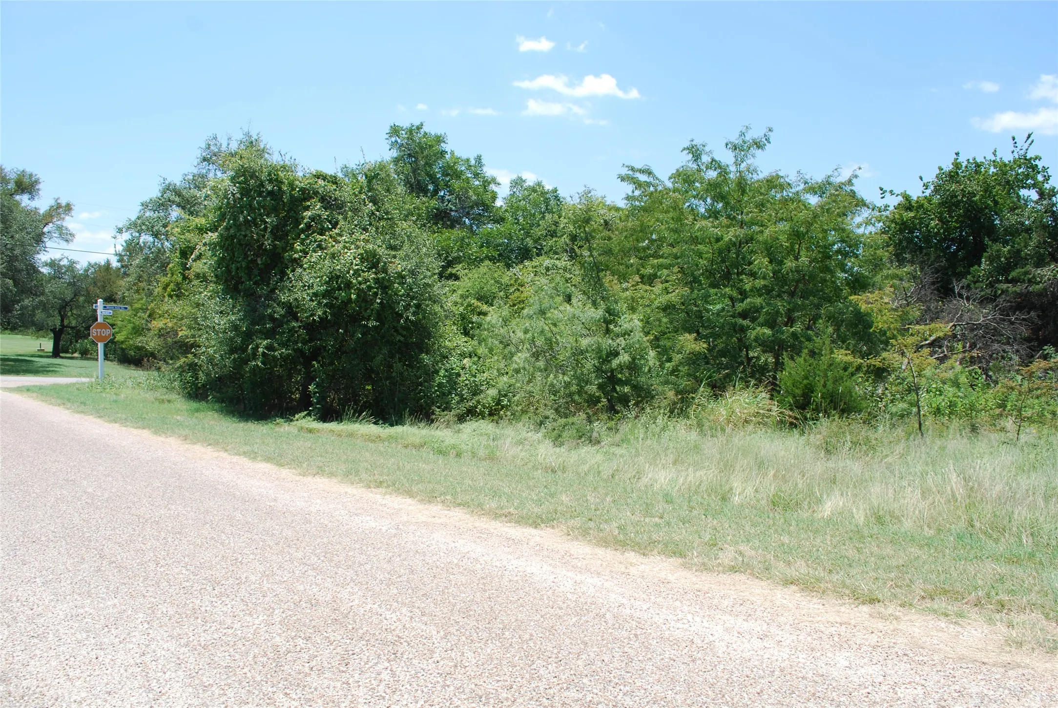 Unimproved Land For Sale in Hill County , 26018 Woodacre Drive, Whitney, Texas 76692, 0, 0, Garage spaces, 0 Sqft, built in 0, mls#21367847, Real Estate Agent in Whitney, Homes For Sale in Hill county, Homes For Sale in Whitney, Realtor in Whitney Texas, Real Estate Brokerage Independent Realty Texas, Luminita Cordes Realtor