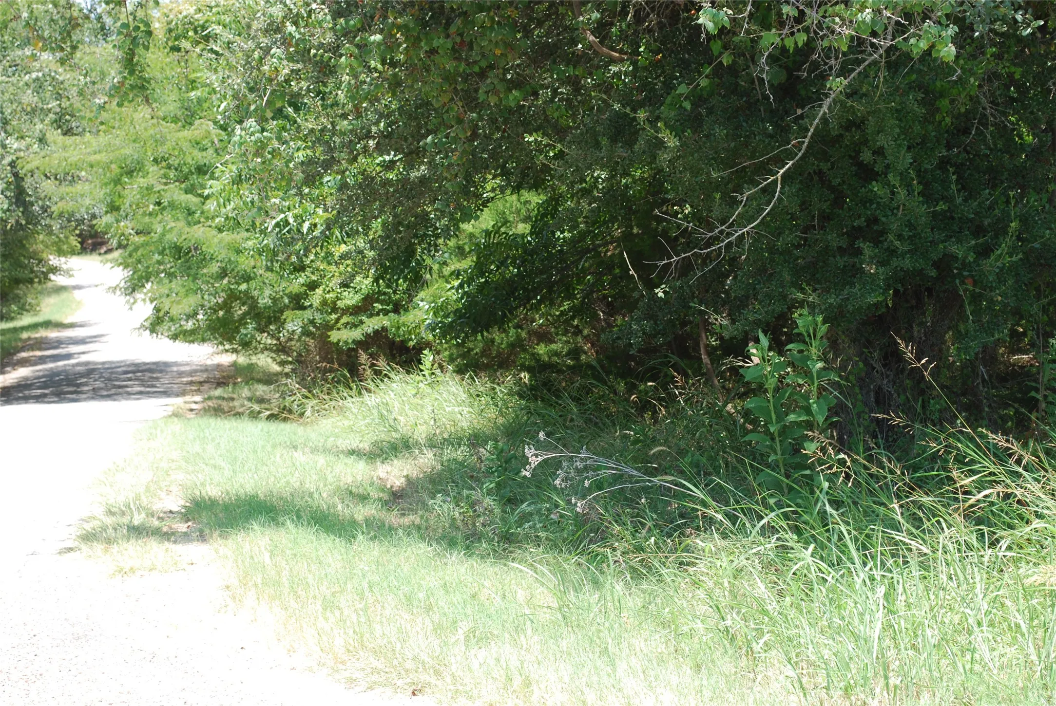 Unimproved Land For Sale in Hill County , 26018 Woodacre Drive, Whitney, Texas 76692, 0, 0, Garage spaces, 0 Sqft, built in 0, mls#21367847, Real Estate Agent in Whitney, Homes For Sale in Hill county, Homes For Sale in Whitney, Realtor in Whitney Texas, Real Estate Brokerage Independent Realty Texas, Luminita Cordes Realtor