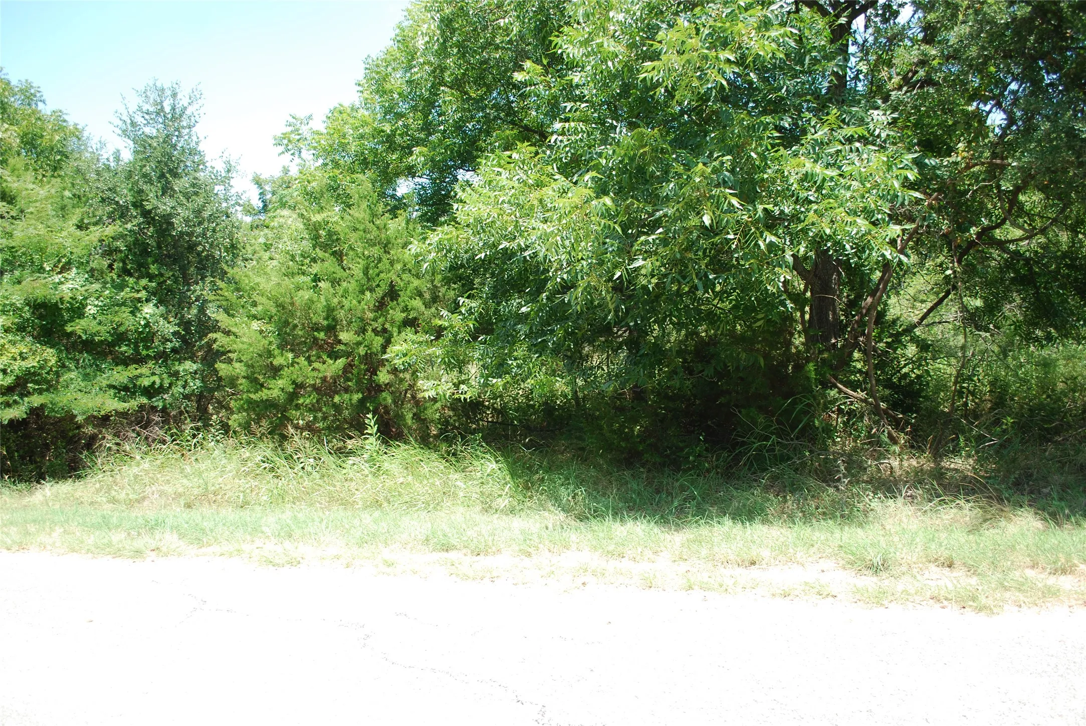 Unimproved Land For Sale in Hill County , 26018 Woodacre Drive, Whitney, Texas 76692, 0, 0, Garage spaces, 0 Sqft, built in 0, mls#21367847, Real Estate Agent in Whitney, Homes For Sale in Hill county, Homes For Sale in Whitney, Realtor in Whitney Texas, Real Estate Brokerage Independent Realty Texas, Luminita Cordes Realtor