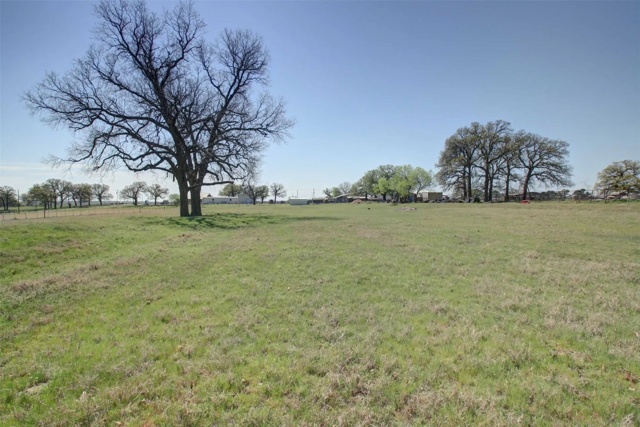 Hay field
