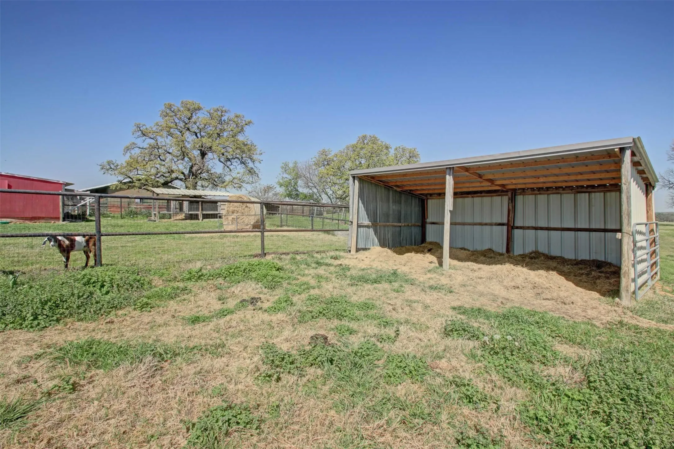 loafing shed for animals you don't keep in the barn