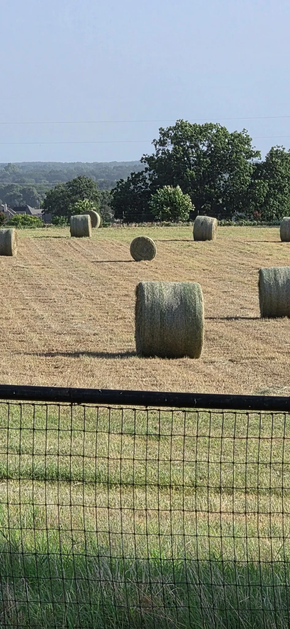 Farm For Sale in Parker County , 3559 Springfield, Springtown, Texas 76082, 3 Bedroom, 2 Bathroom, 5 Garage spaces, 2,304 Sqft, built in 0, mls#21385023, Real Estate Agent in Springtown, Homes For Sale in Parker county, Homes For Sale in Springtown, Realtor in Springtown Texas, Real Estate Brokerage Independent Realty Texas, Luminita Cordes Realtor