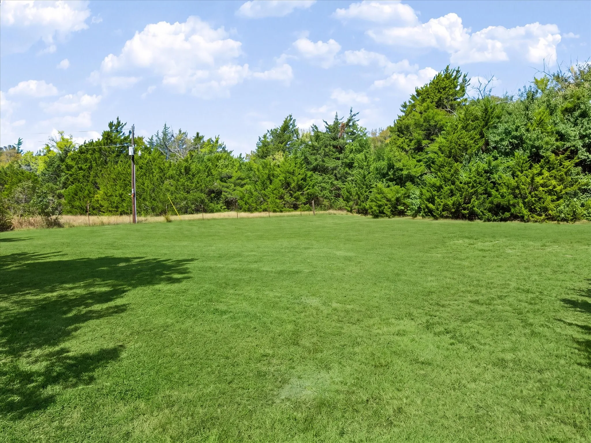 Expansive green space with abundant mature trees and natural landscaping
