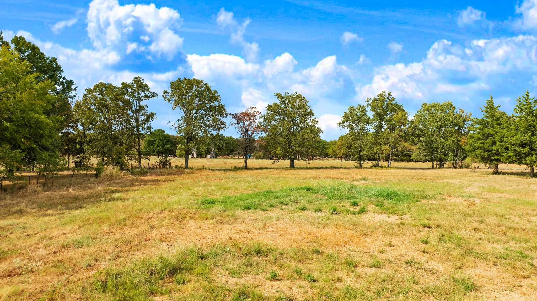 Improved Land For Sale in Lamar County , 1374 County Road 45800, Blossom, Texas 75416, 0, 0, Garage spaces, 0 Sqft, built in 0, mls#21383633, Real Estate Agent in Blossom, Homes For Sale in Lamar county, Homes For Sale in Blossom, Realtor in Blossom Texas, Real Estate Brokerage Independent Realty Texas, Luminita Cordes Realtor