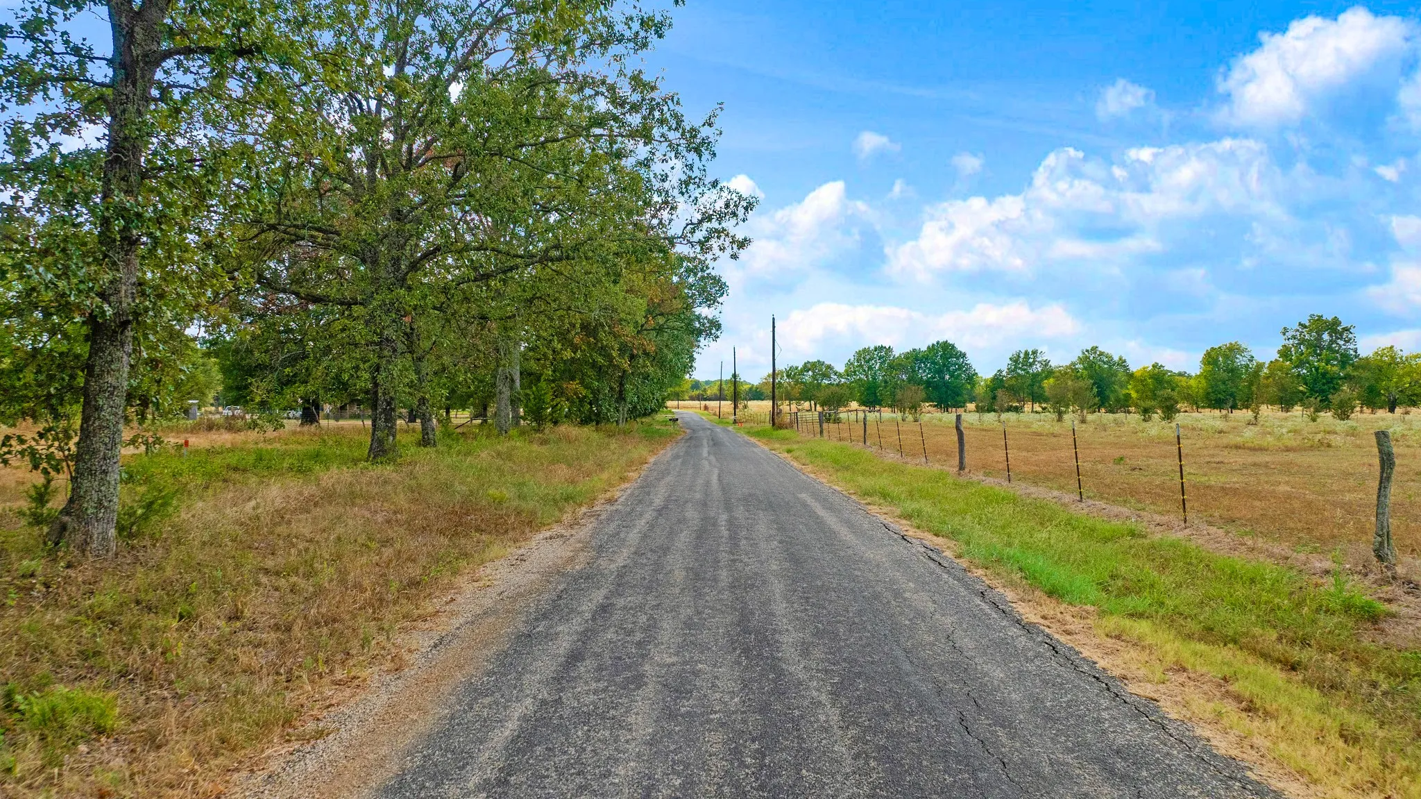 Improved Land For Sale in Lamar County , 1374 County Road 45800, Blossom, Texas 75416, 0, 0, Garage spaces, 0 Sqft, built in 0, mls#21383633, Real Estate Agent in Blossom, Homes For Sale in Lamar county, Homes For Sale in Blossom, Realtor in Blossom Texas, Real Estate Brokerage Independent Realty Texas, Luminita Cordes Realtor