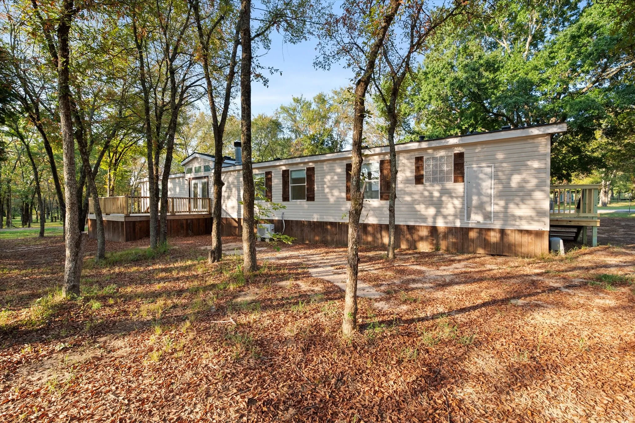 Expansive wooded lot with mature trees