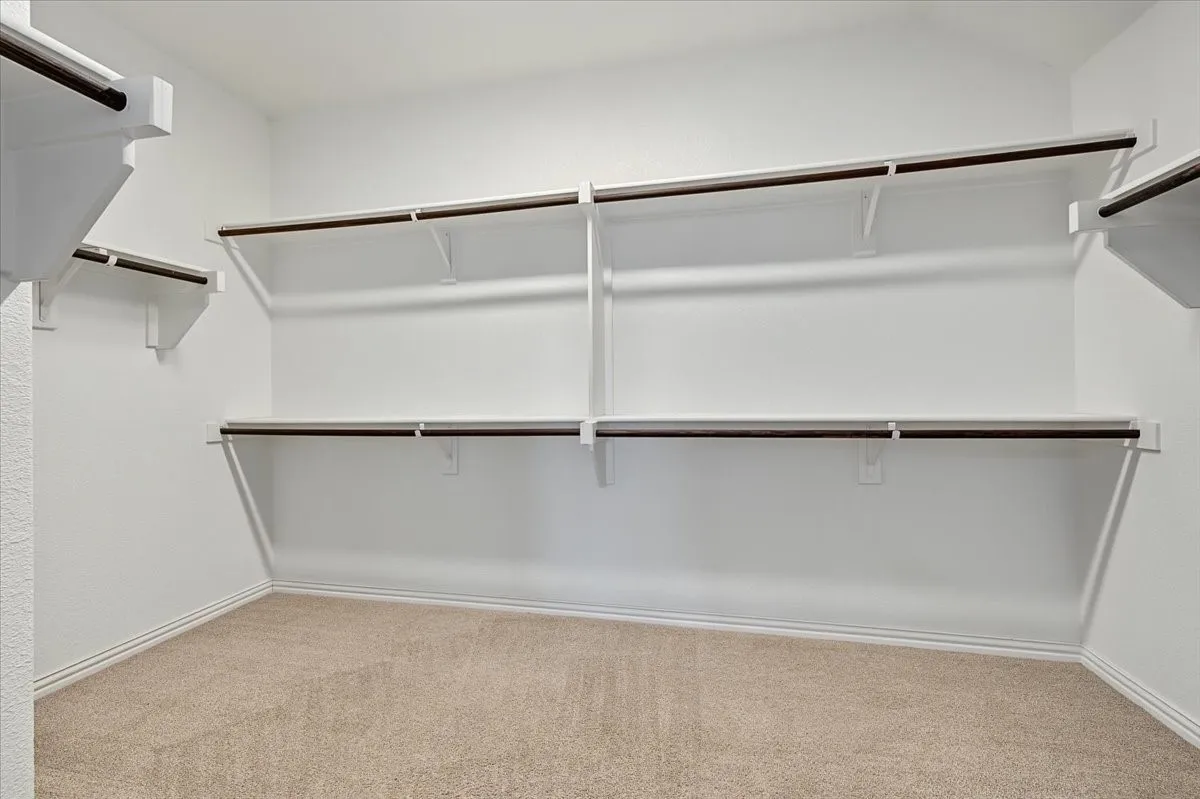 Walk-in closet with carpet flooring, white walls, built-in shelving, and clothes hanging rods