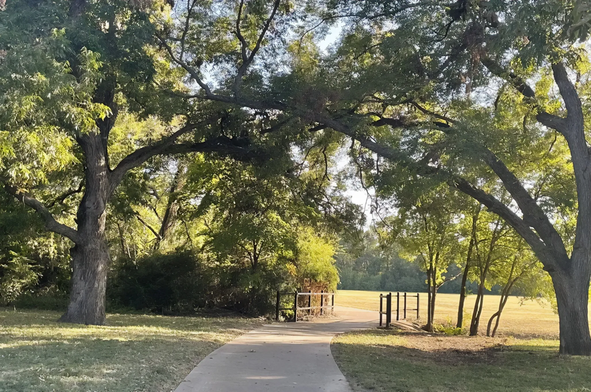Improved Land For Sale in Dallas County , 14320 Hughes Lane, Dallas, Texas 75254, 0, 0, Garage spaces, 0 Sqft, built in 0, mls#21384866, Real Estate Agent in Dallas, Homes For Sale in Dallas county, Homes For Sale in Dallas, Realtor in Dallas Texas, Real Estate Brokerage Independent Realty Texas, Luminita Cordes Realtor