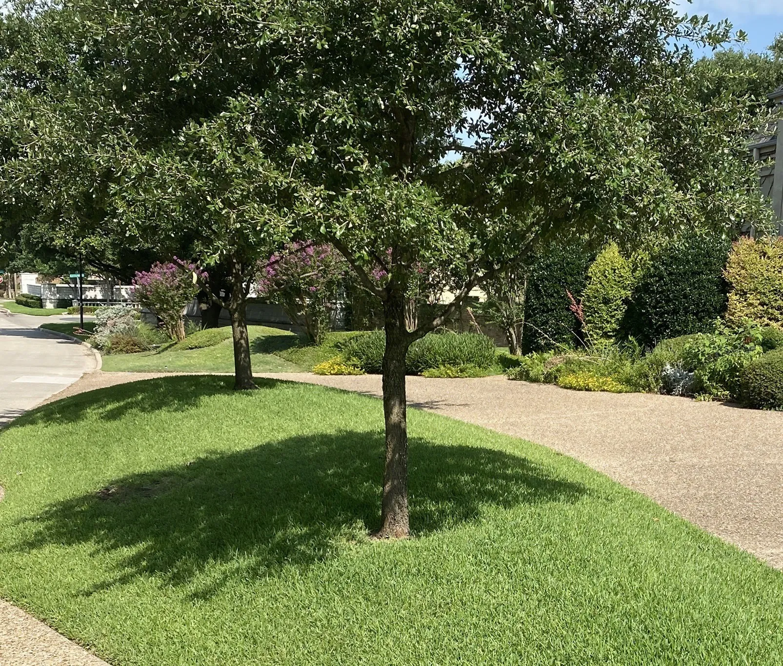 Improved Land For Sale in Dallas County , 14320 Hughes Lane, Dallas, Texas 75254, 0, 0, Garage spaces, 0 Sqft, built in 0, mls#21384866, Real Estate Agent in Dallas, Homes For Sale in Dallas county, Homes For Sale in Dallas, Realtor in Dallas Texas, Real Estate Brokerage Independent Realty Texas, Luminita Cordes Realtor