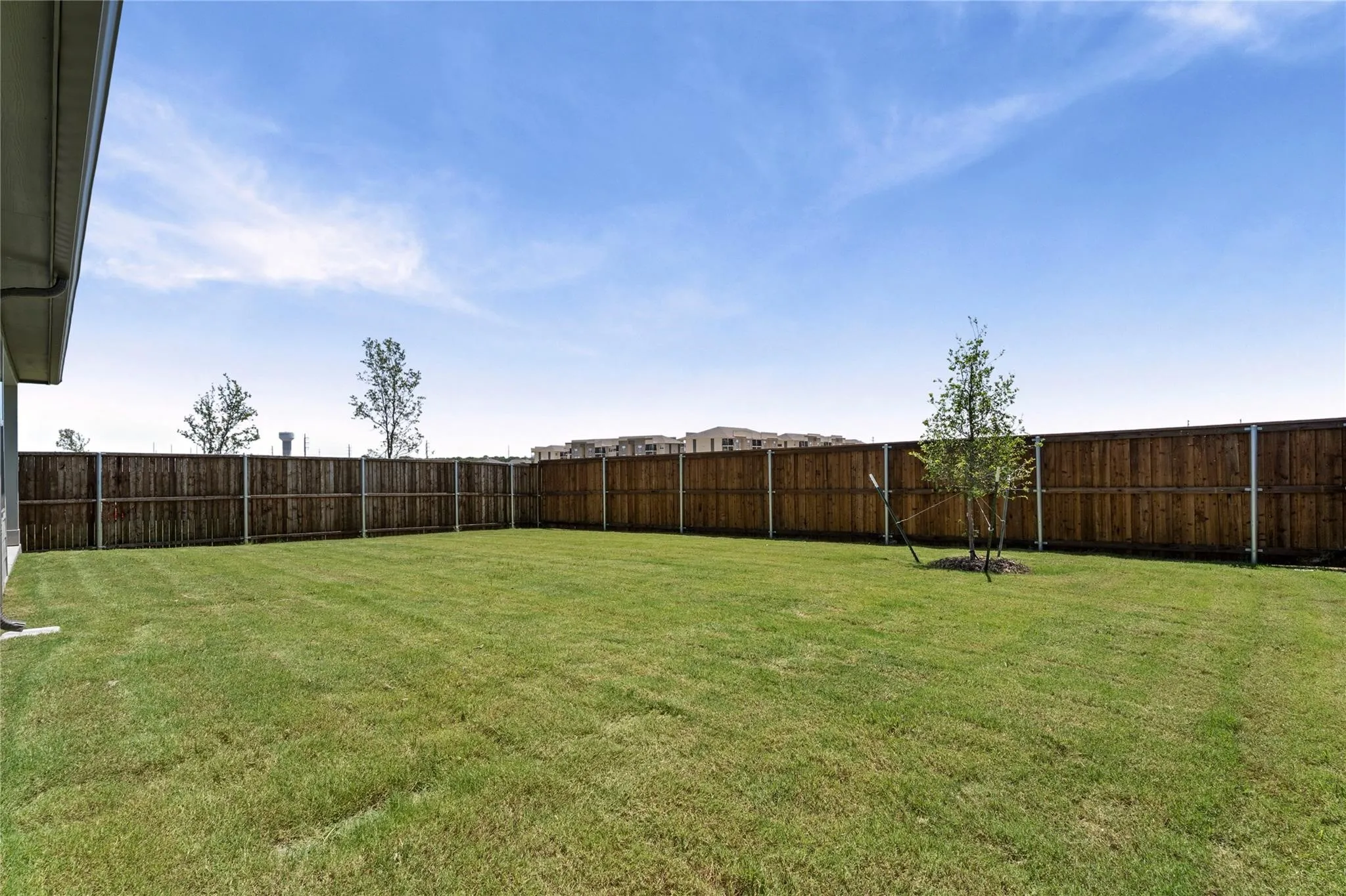 Expansive backyard featuring a lush lawn, privacy fencing, and a newly planted tree