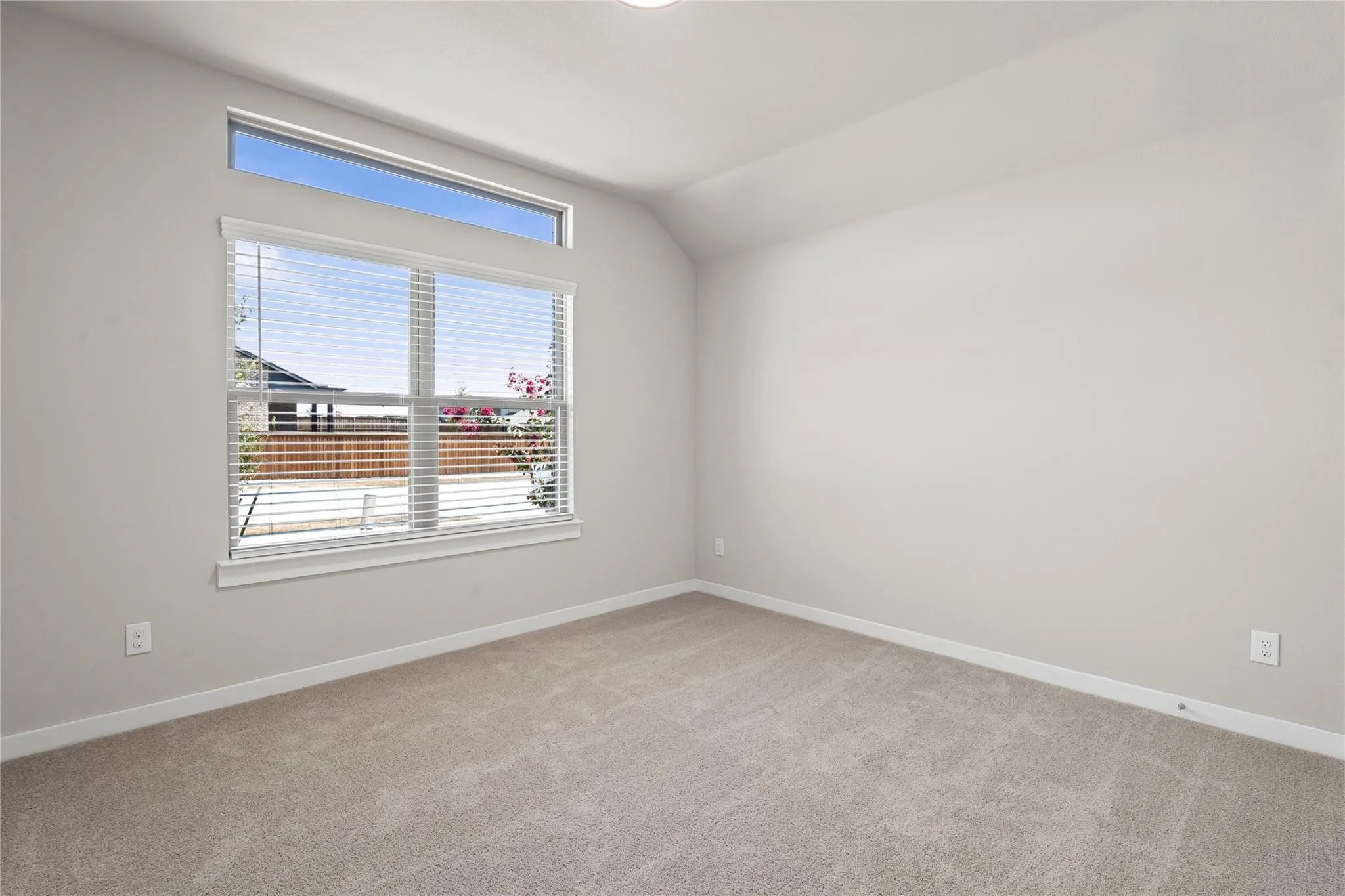 Carpeted flooring, window blinds, upper transom window, neutral wall paint, white trim