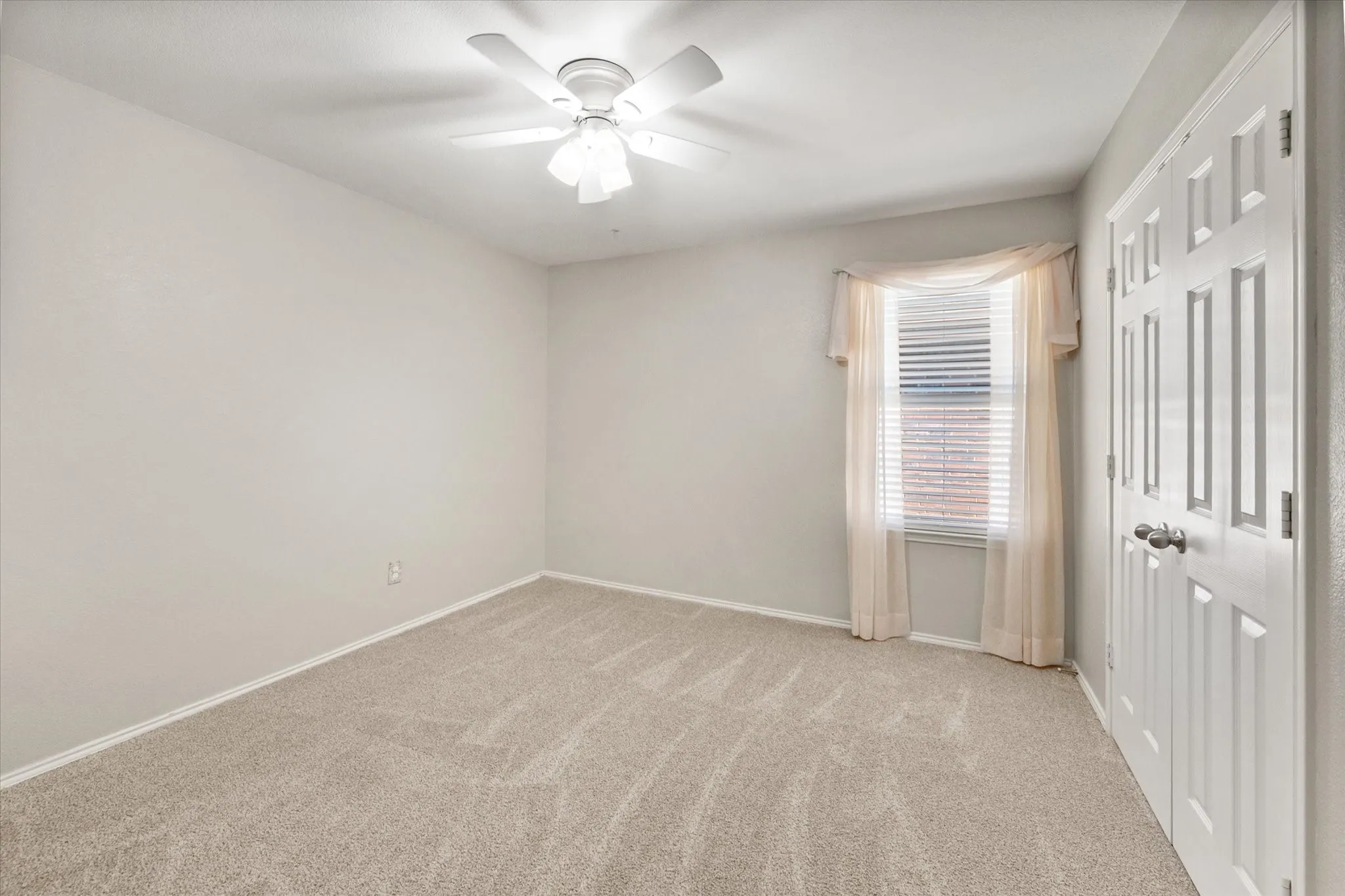 Recent Carpet Update