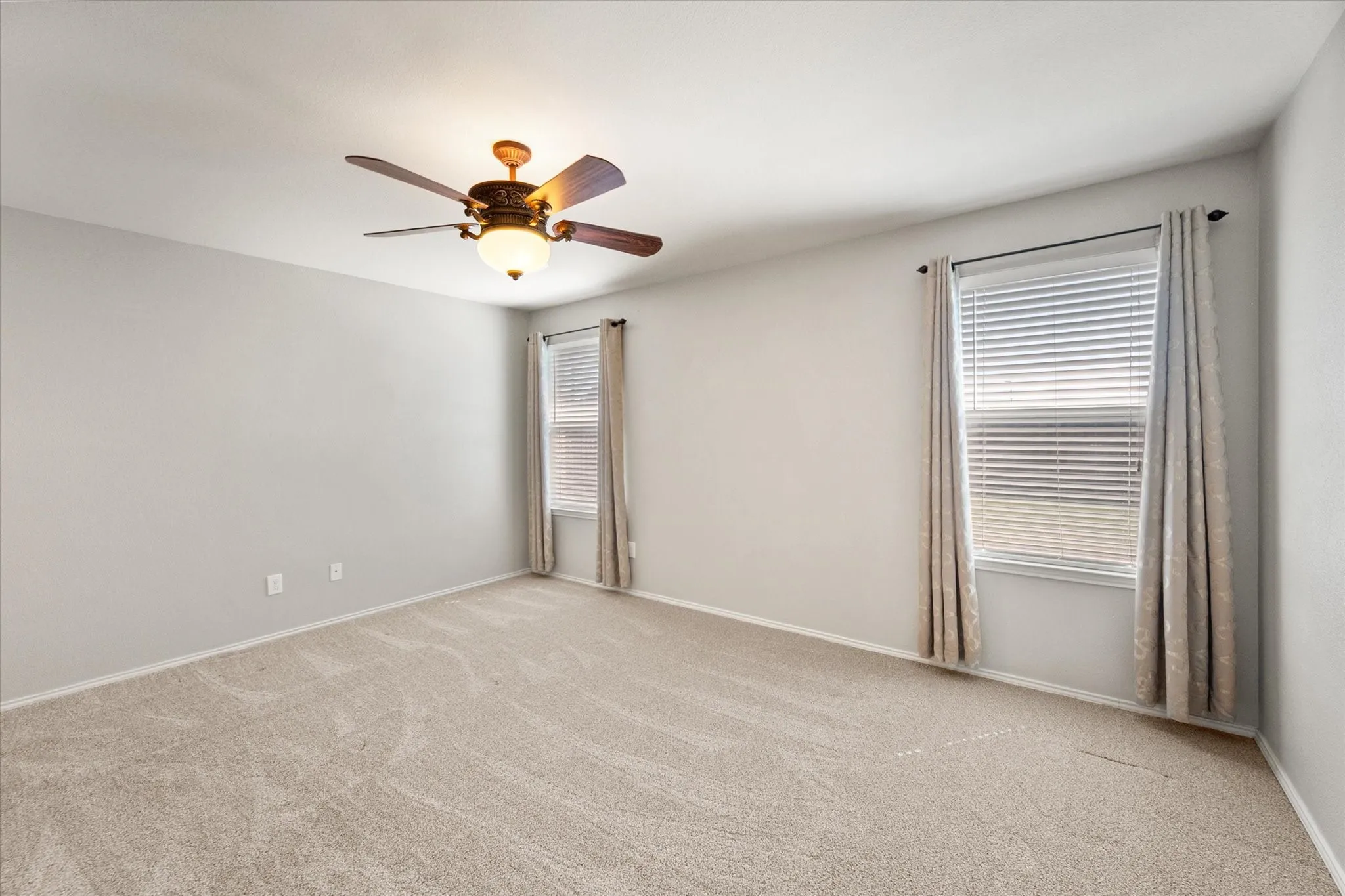 Recent Carpet Update