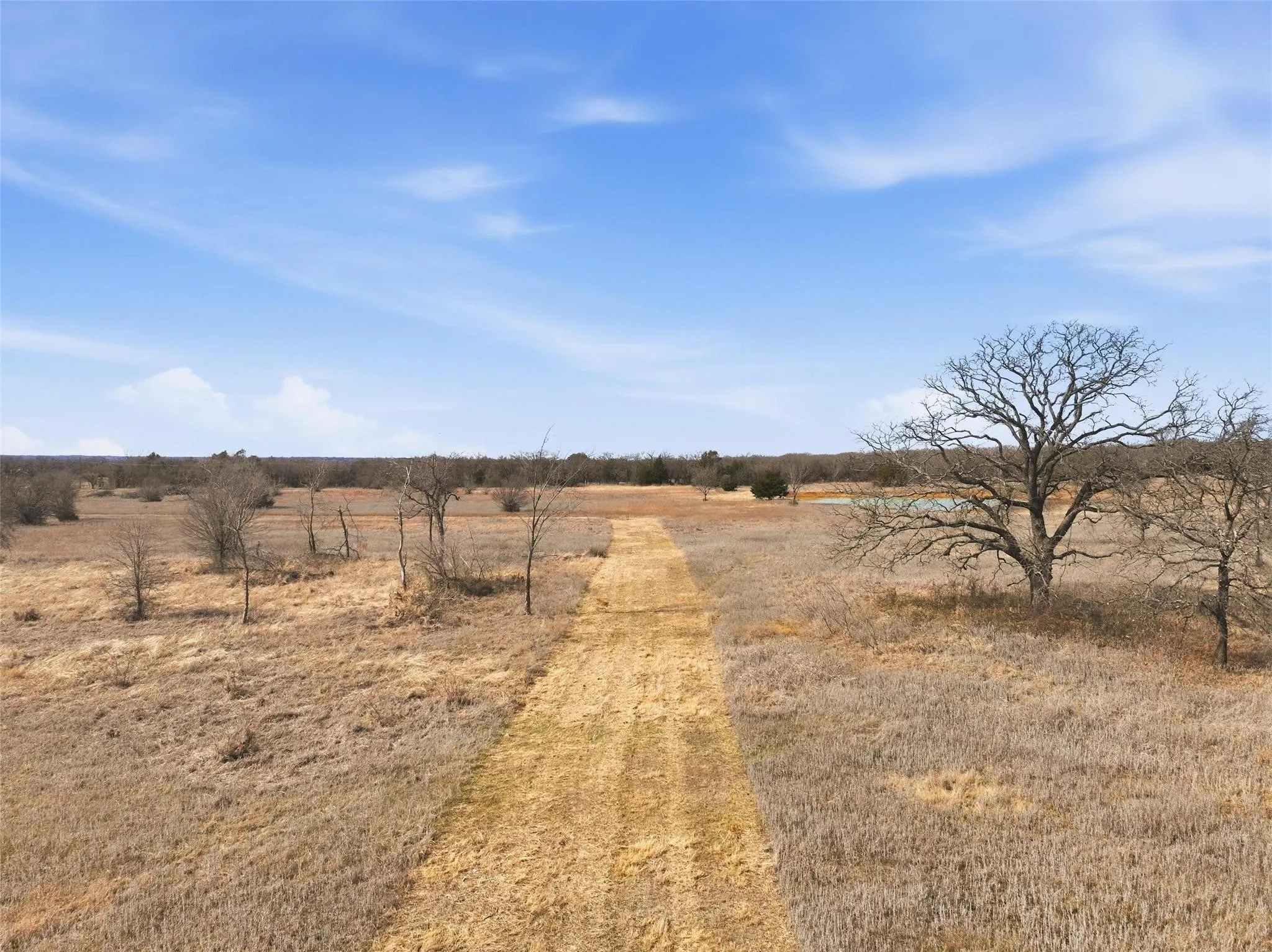 Unimproved Land For Sale in Johnson County , 875 County Road 404, Alvarado, Texas 76009, 0, 0, Garage spaces, 0 Sqft, built in 0, mls#21385121, Real Estate Agent in Alvarado, Homes For Sale in Johnson county, Homes For Sale in Alvarado, Realtor in Alvarado Texas, Real Estate Brokerage Independent Realty Texas, Luminita Cordes Realtor