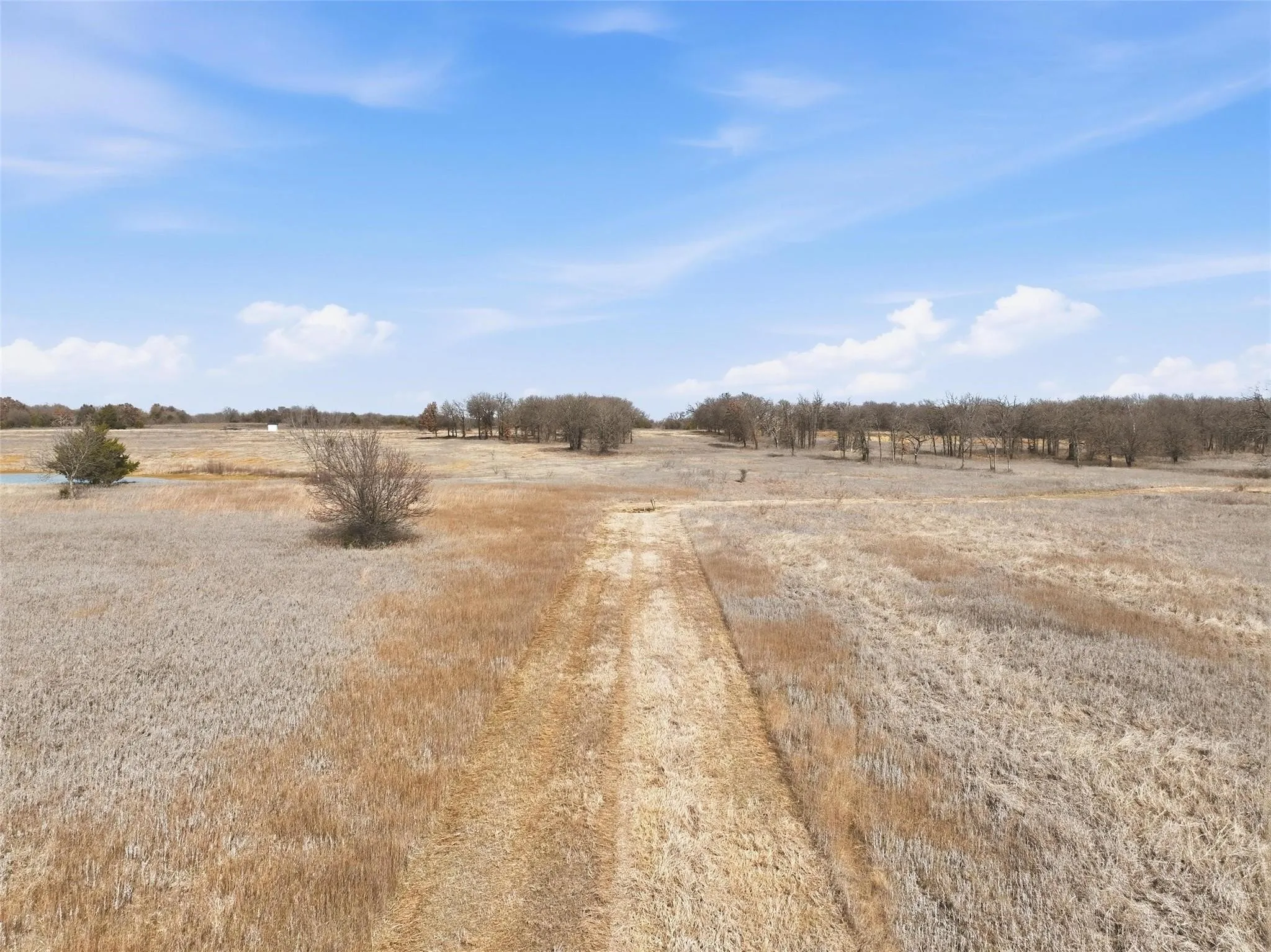 Unimproved Land For Sale in Johnson County , 935 County Road 404, Alvarado, Texas 76009, 0, 0, Garage spaces, 0 Sqft, built in 0, mls#21385119, Real Estate Agent in Alvarado, Homes For Sale in Johnson county, Homes For Sale in Alvarado, Realtor in Alvarado Texas, Real Estate Brokerage Independent Realty Texas, Luminita Cordes Realtor