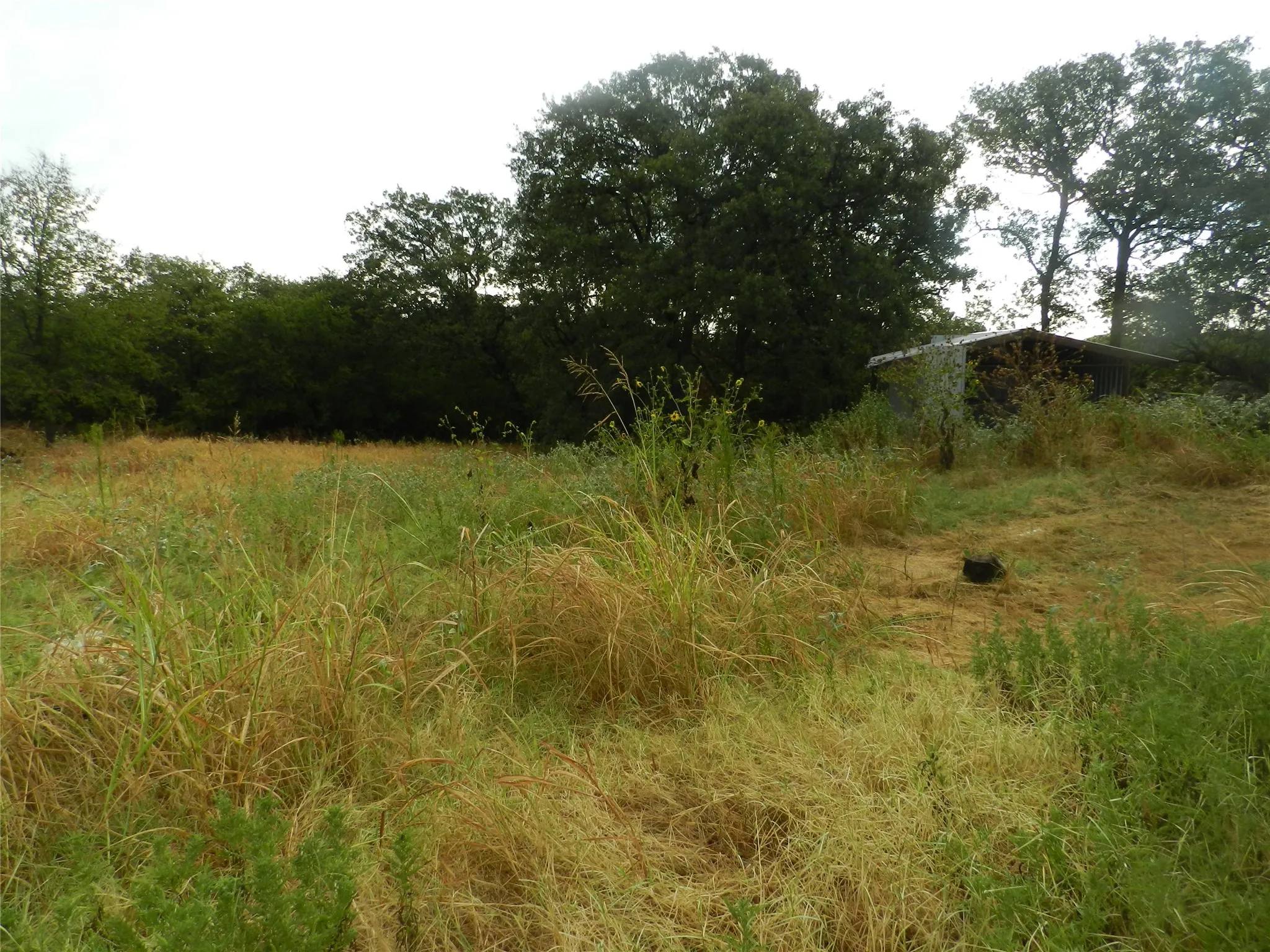 Expansive grassy lot with mature trees bordering the property and a metal outbuilding