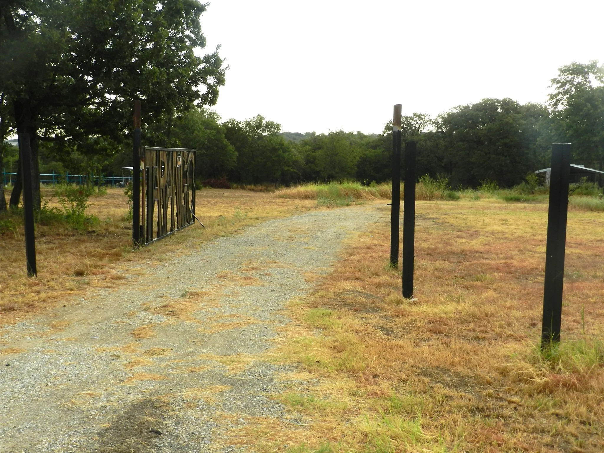 Gravel driveway with a decorative gate, bordered by mature trees and natural landscaping