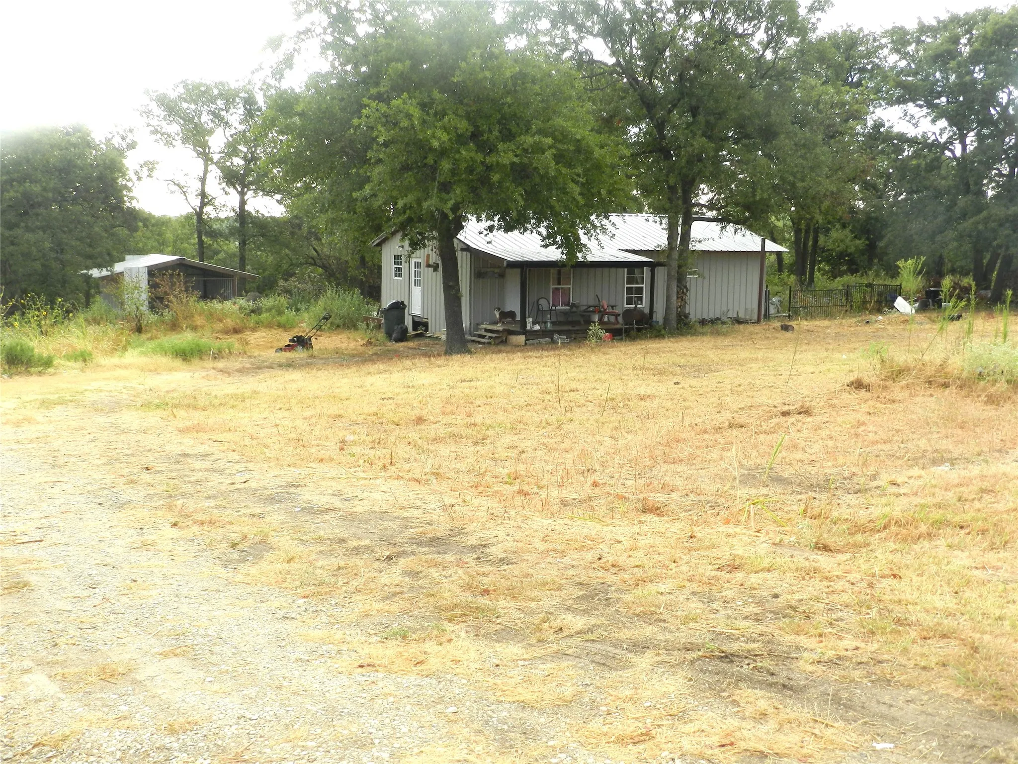 Exterior with a metal roof and light-colored siding, surrounded by mature trees, and a detached outbuilding