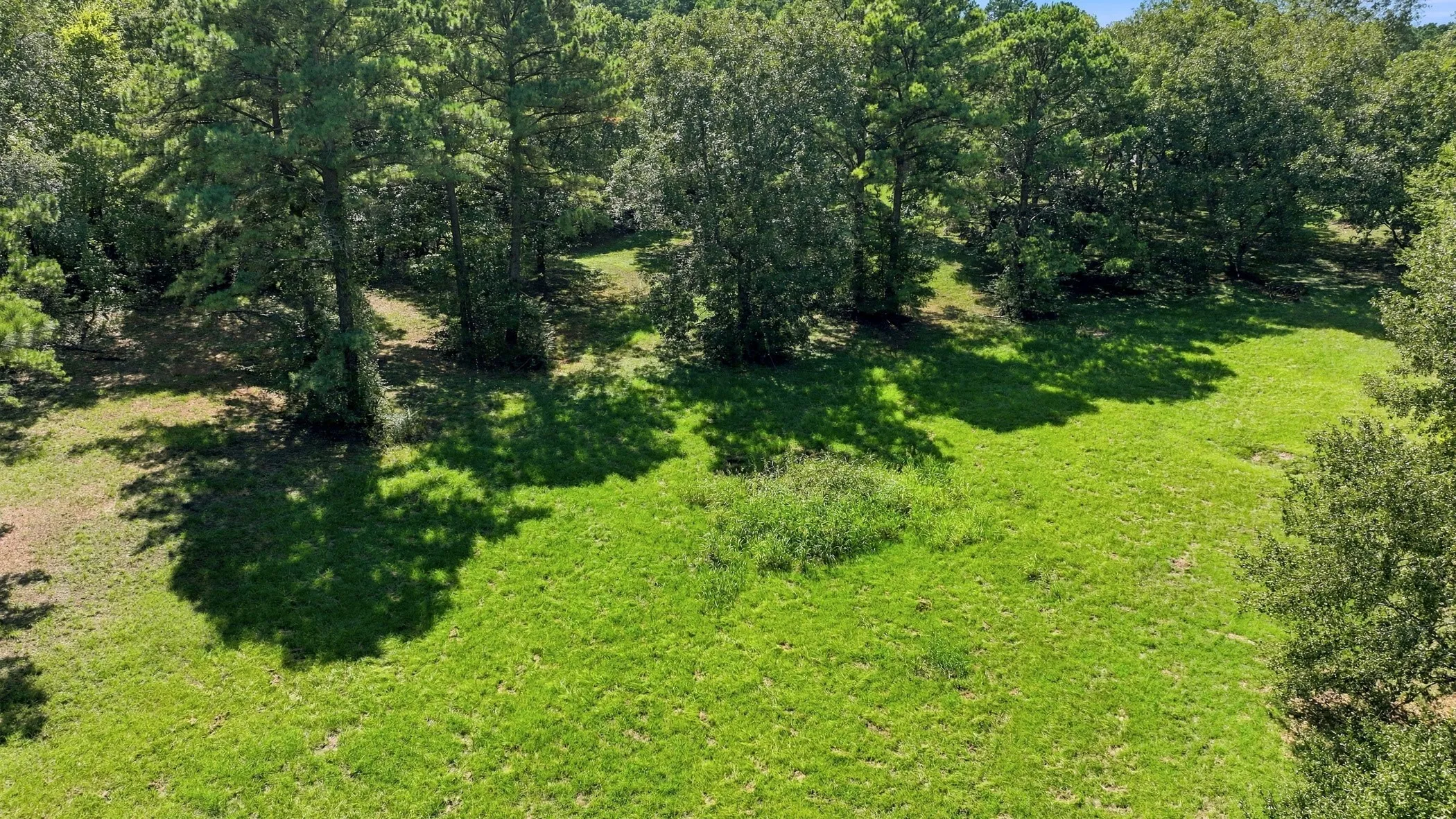 Single Family Residence For Sale in Anderson County , 3357 E Fm 323, Palestine, Texas 75801, 4 Bedroom, 2 Bathroom, Garage spaces, 2,430 Sqft, built in 1975, mls#21384775, Real Estate Agent in Palestine, Homes For Sale in Anderson county, Homes For Sale in Palestine, Realtor in Palestine Texas, Real Estate Brokerage Independent Realty Texas, Luminita Cordes Realtor