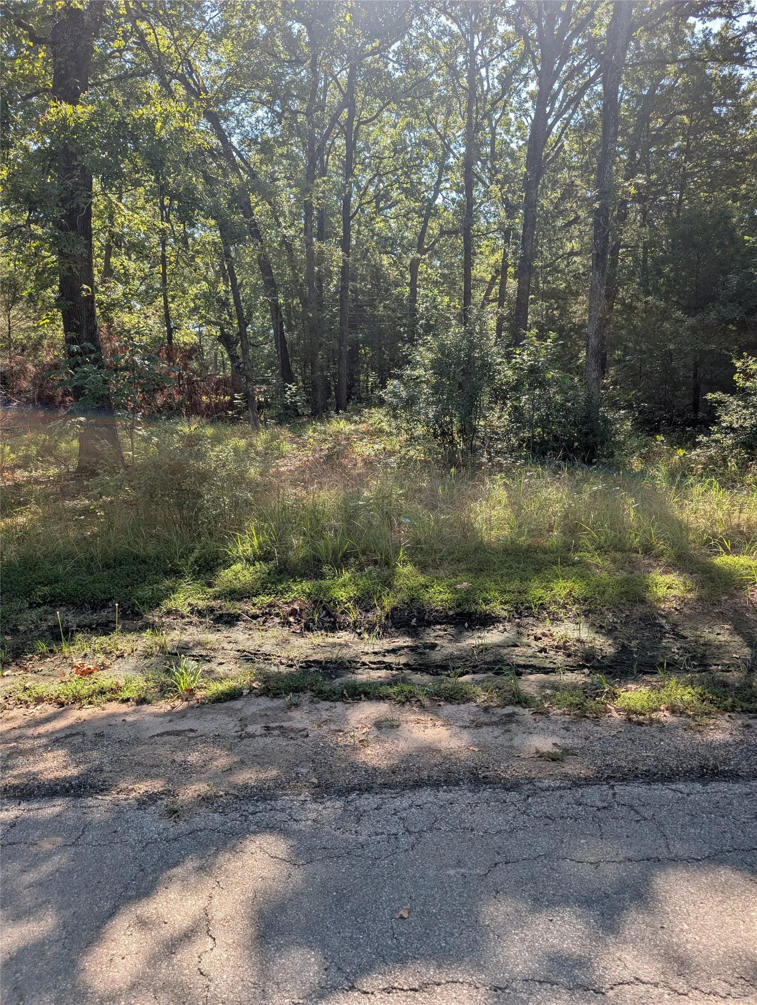 Unimproved Land For Sale in Henderson County , 202 Chillacothe Trail, Mabank, Texas 75156, 0, 0, Garage spaces, 0 Sqft, built in 0, mls#21385147, Real Estate Agent in Mabank, Homes For Sale in Henderson county, Homes For Sale in Mabank, Realtor in Mabank Texas, Real Estate Brokerage Independent Realty Texas, Luminita Cordes Realtor