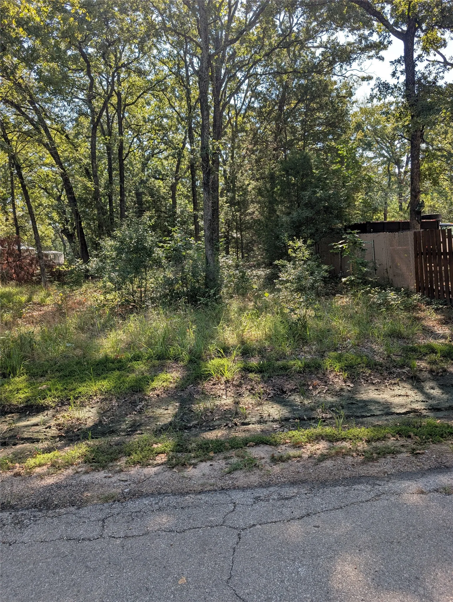 Unimproved Land For Sale in Henderson County , 202 Chillacothe Trail, Mabank, Texas 75156, 0, 0, Garage spaces, 0 Sqft, built in 0, mls#21385147, Real Estate Agent in Mabank, Homes For Sale in Henderson county, Homes For Sale in Mabank, Realtor in Mabank Texas, Real Estate Brokerage Independent Realty Texas, Luminita Cordes Realtor