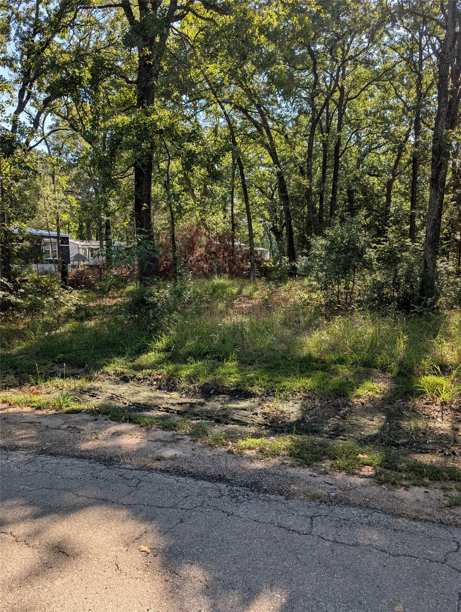 Unimproved Land For Sale in Henderson County , 202 Chillacothe Trail, Mabank, Texas 75156, 0, 0, Garage spaces, 0 Sqft, built in 0, mls#21385147, Real Estate Agent in Mabank, Homes For Sale in Henderson county, Homes For Sale in Mabank, Realtor in Mabank Texas, Real Estate Brokerage Independent Realty Texas, Luminita Cordes Realtor
