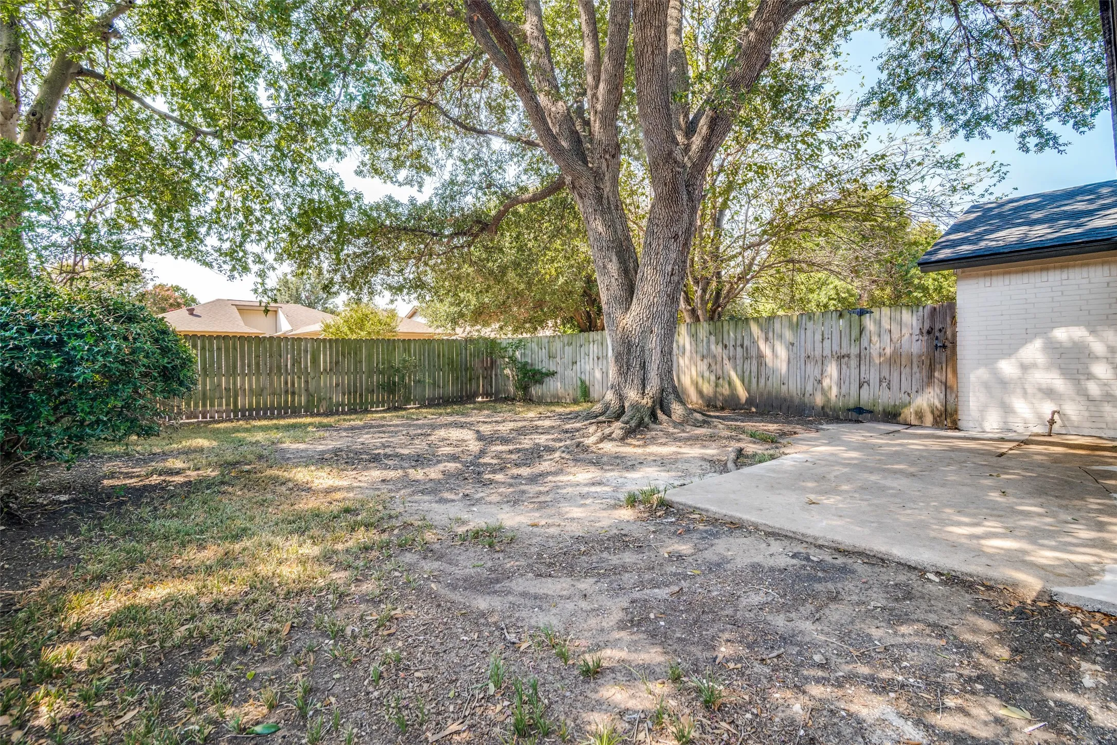 Shady backyard