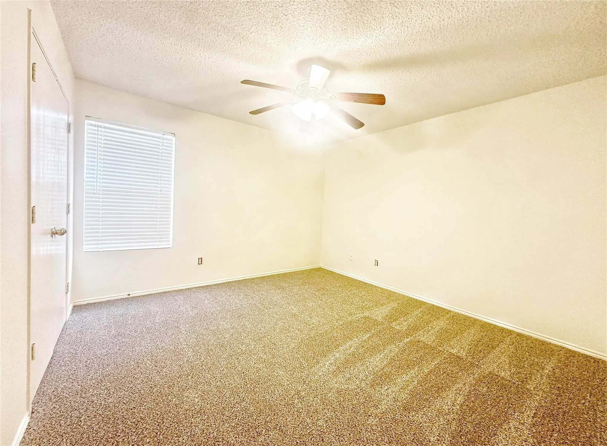 Plush carpet flooring, ceiling fan with wood-finish blades, window with horizontal blinds, and a neutral wall palette