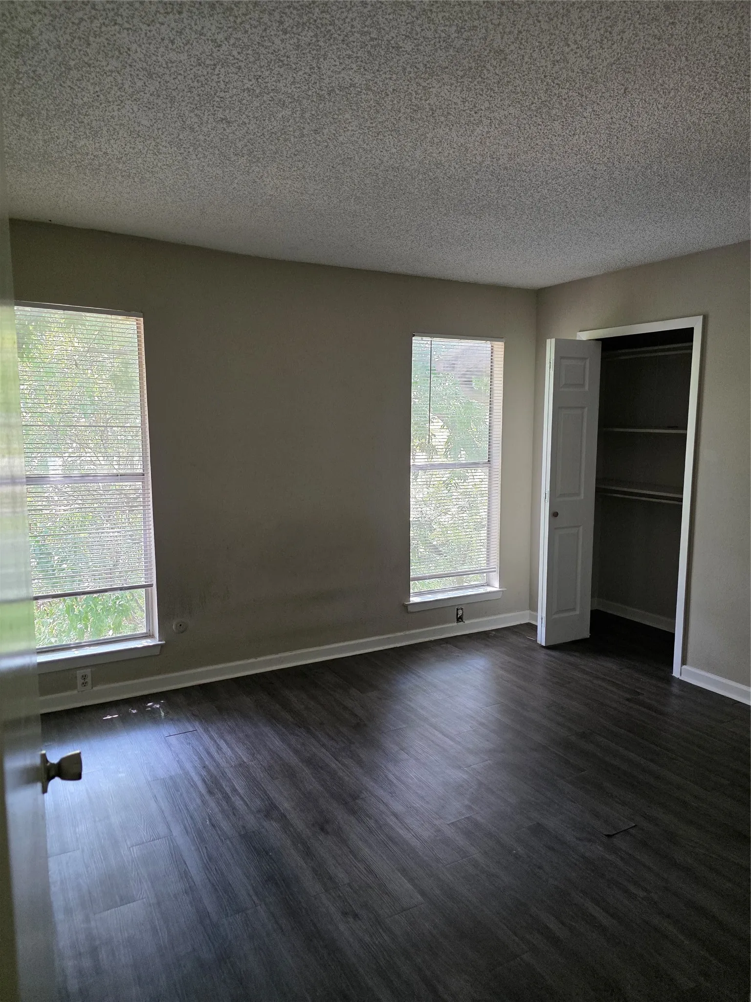 Wood-finish flooring, two windows, and built-in closet shelving